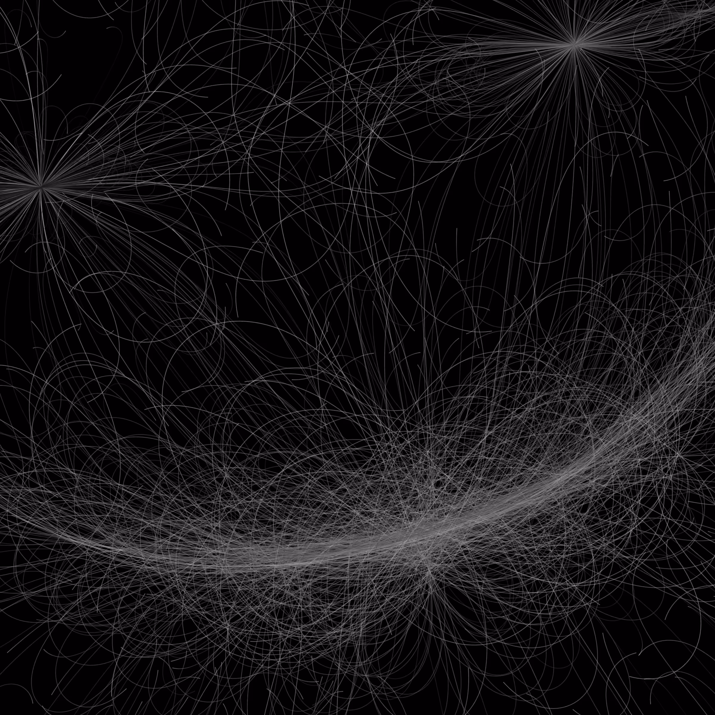 Phototaxis #435