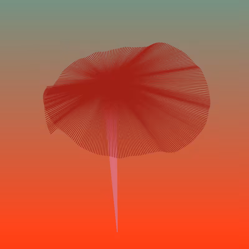 Crypto Chapeletas 2112021 #6