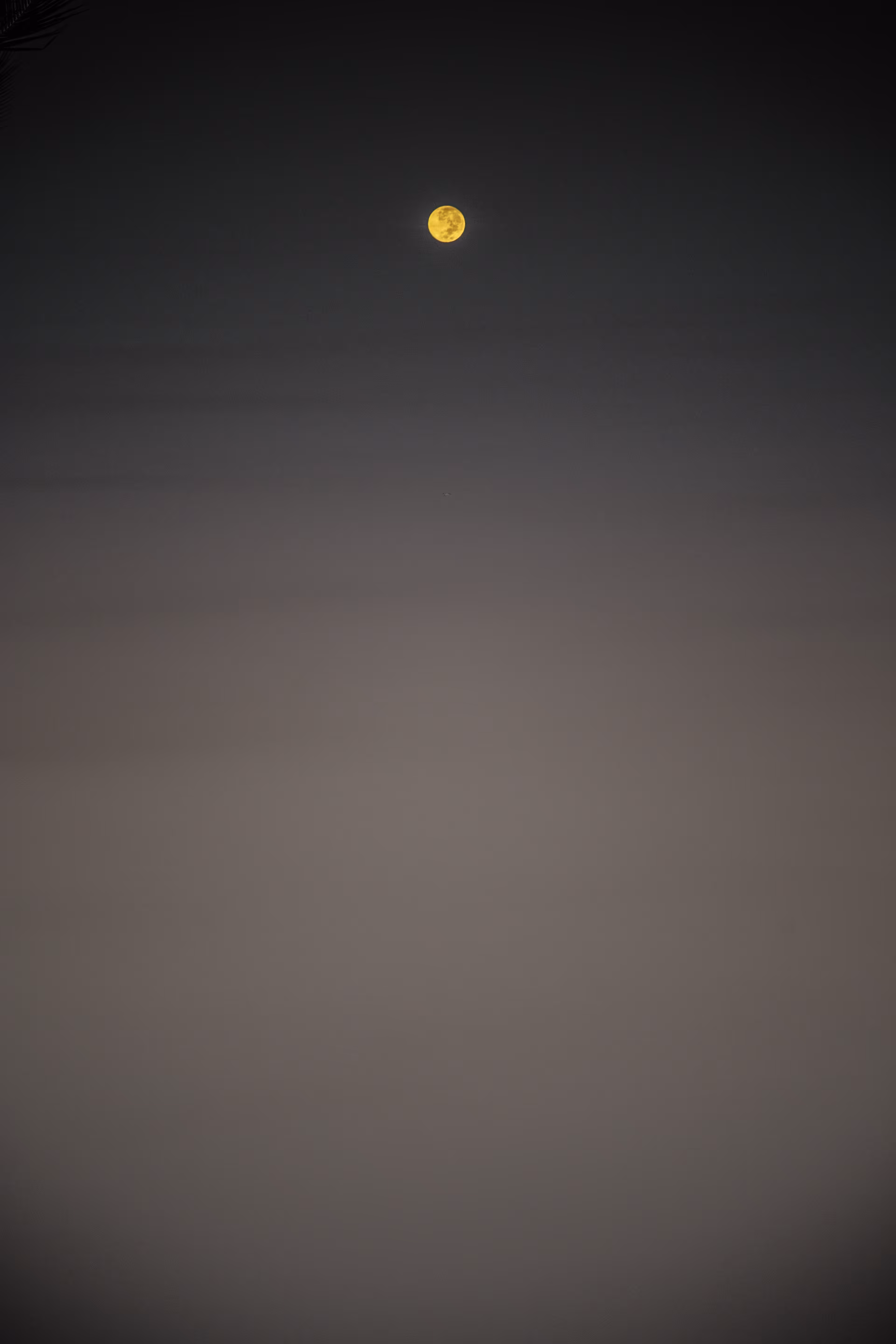 Super Moon 