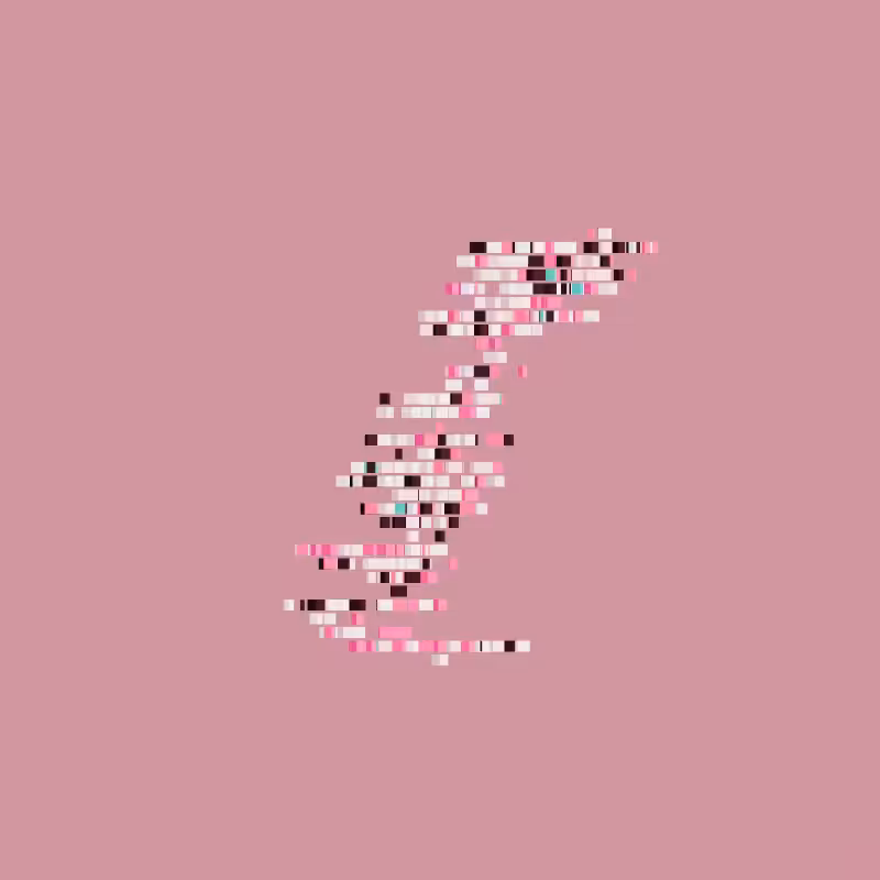 kan #31