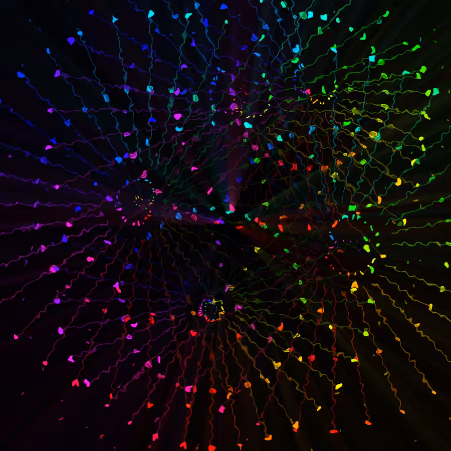 fx(rings/dots) #7