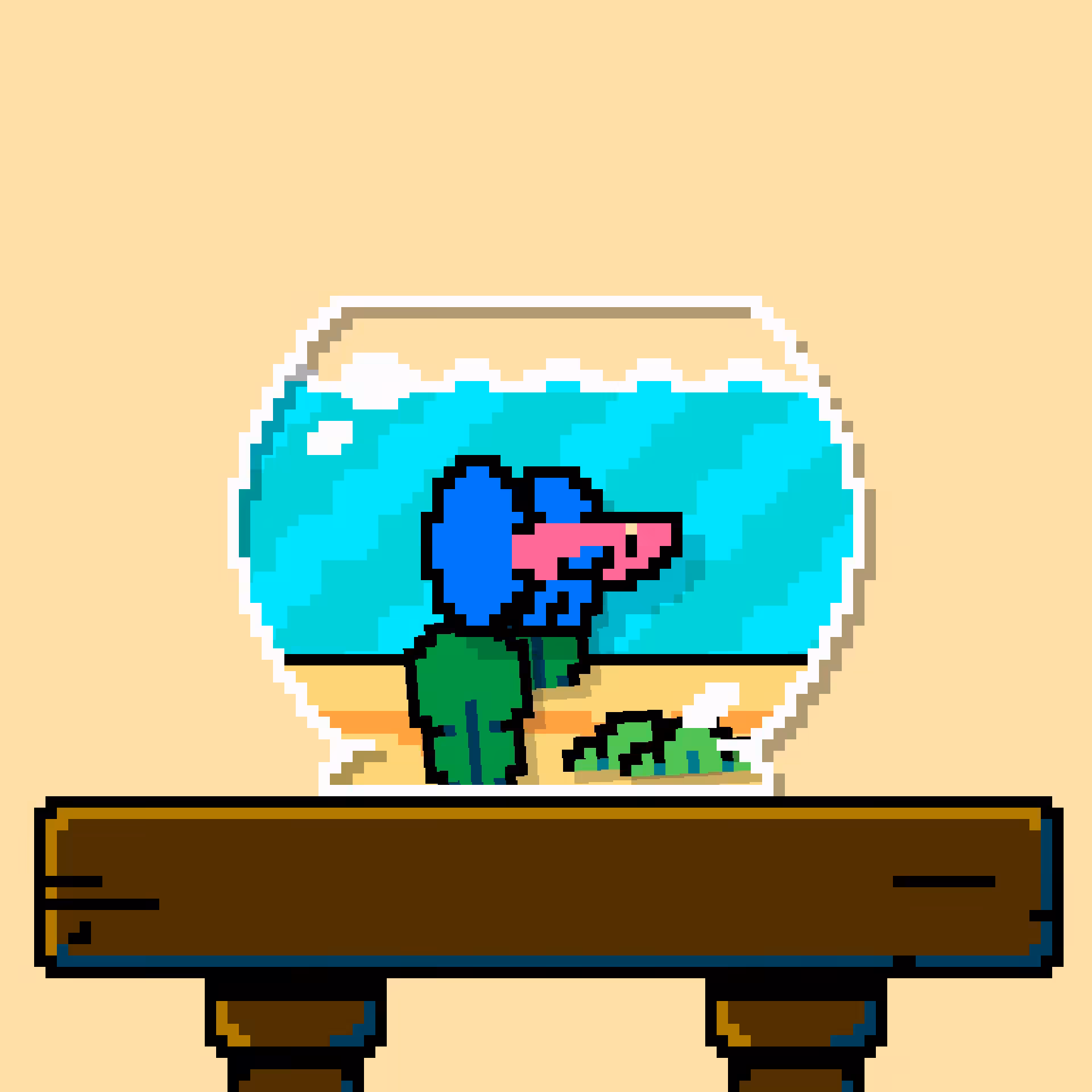 betta fish #494