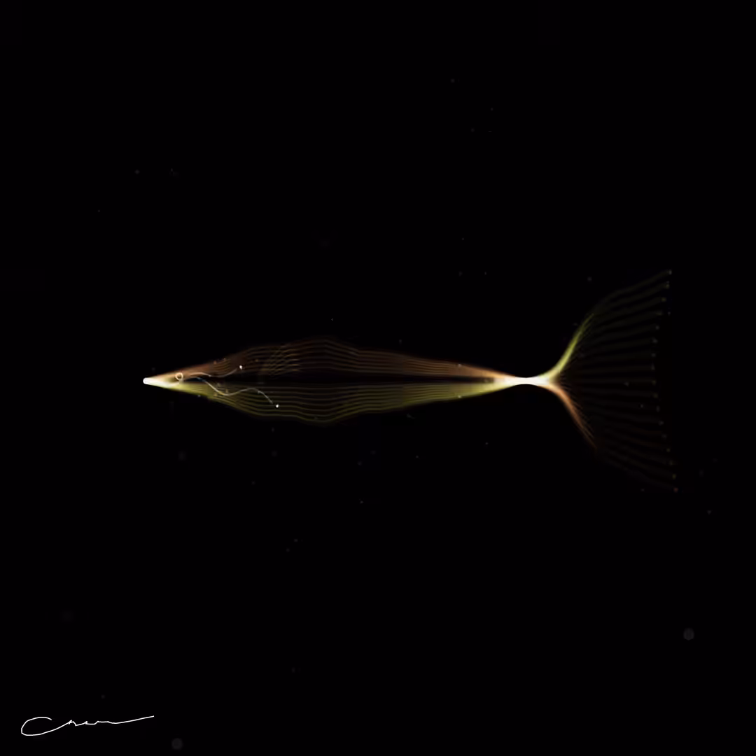 SoulFish #237
