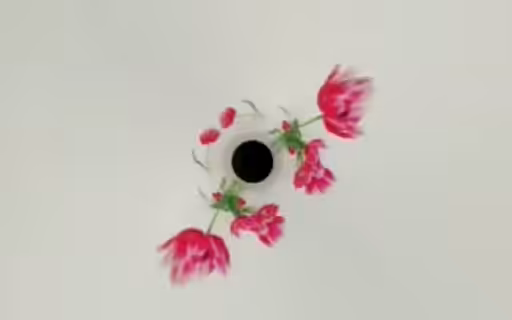 Inside Nature # Flowers