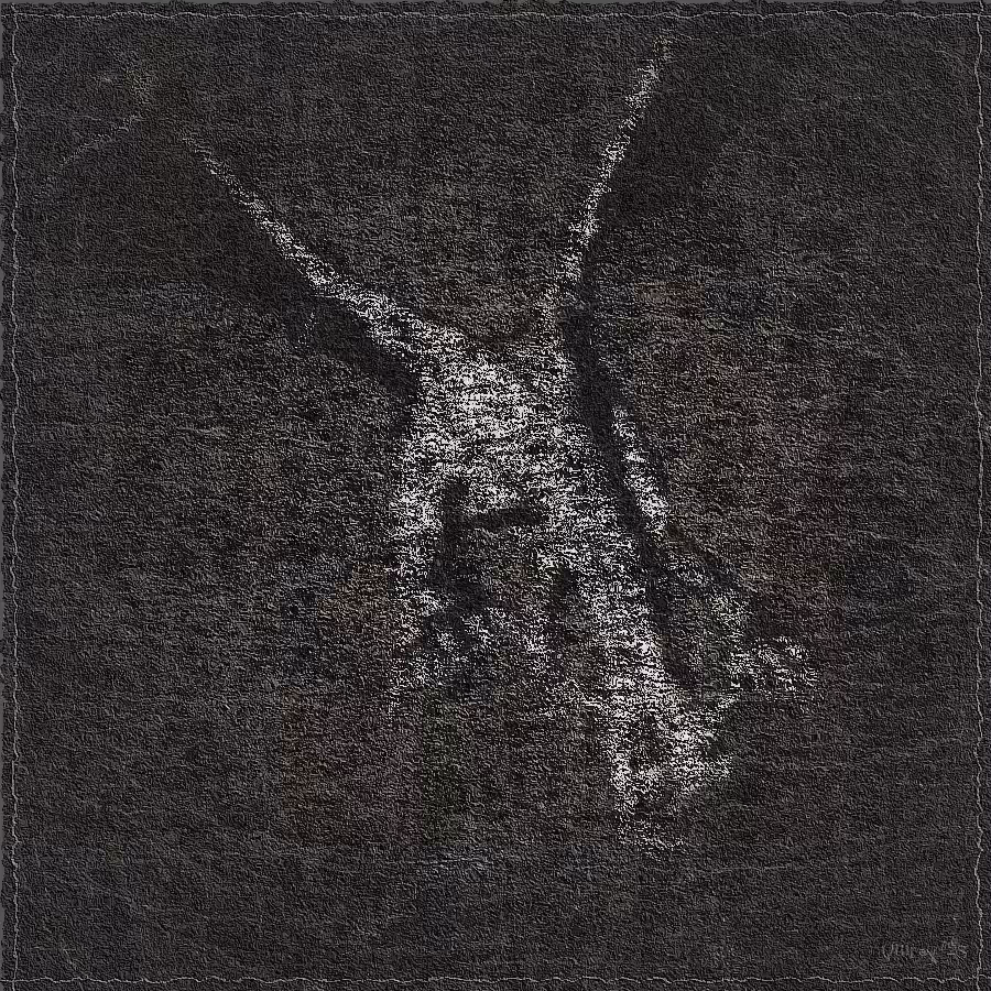 The Spirit of Dragon #14