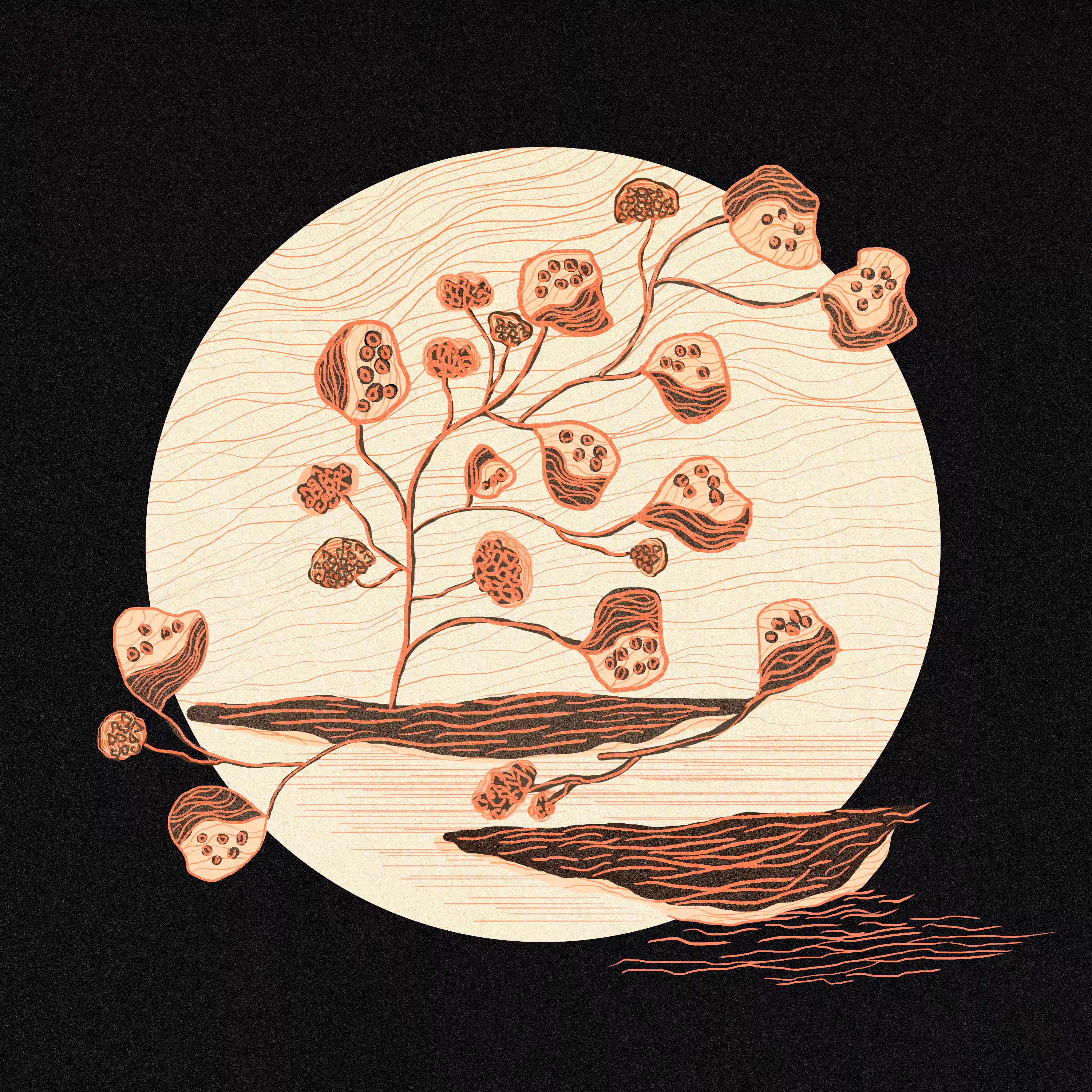Beige circle