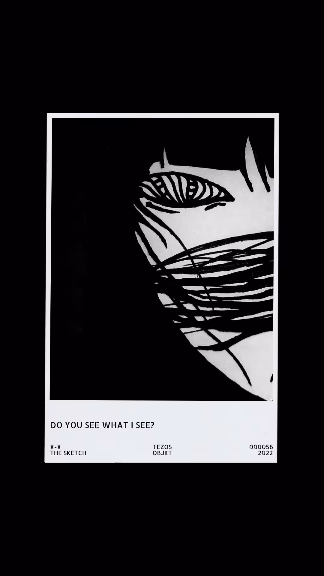 Do You See What I See?