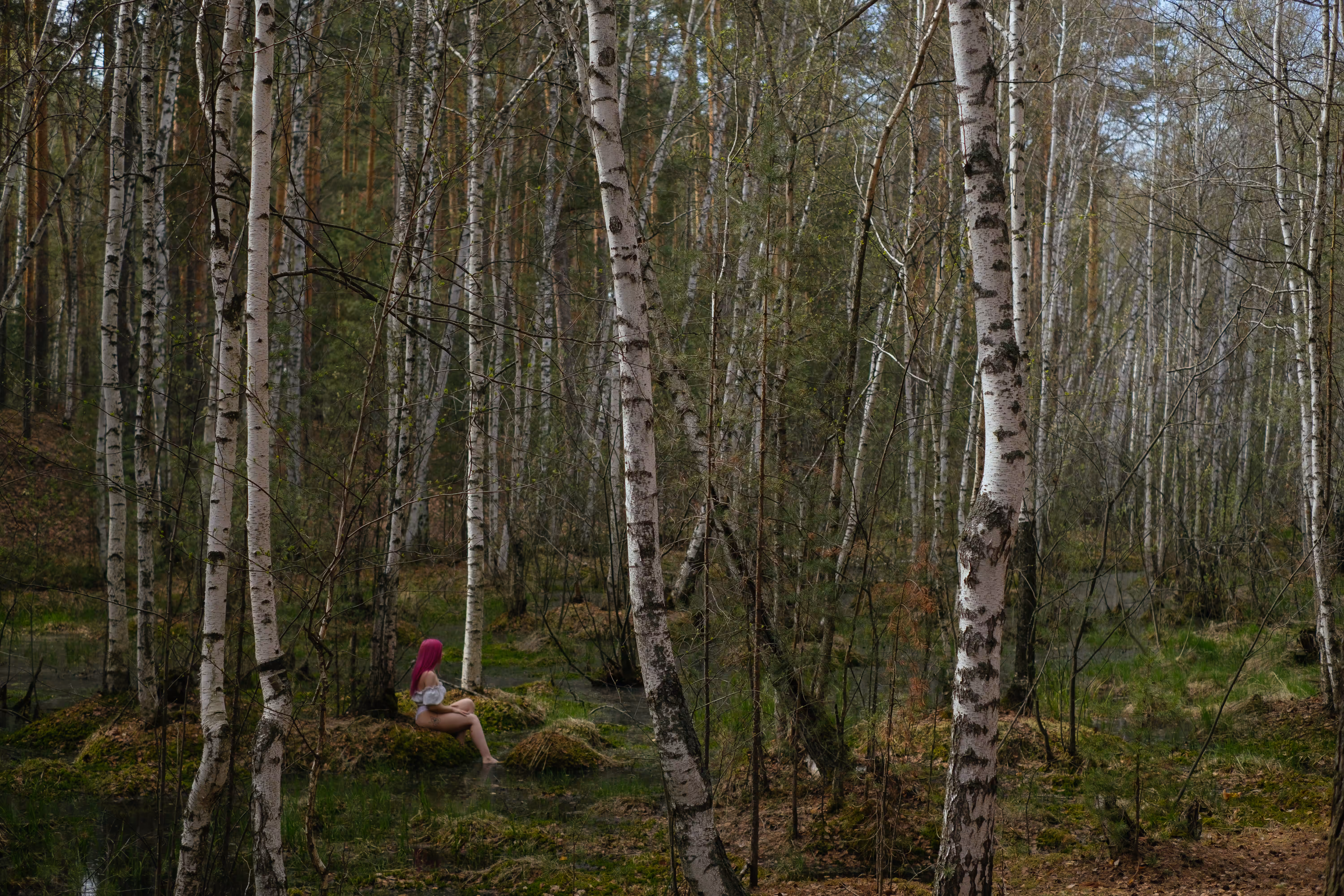 Forest Silence