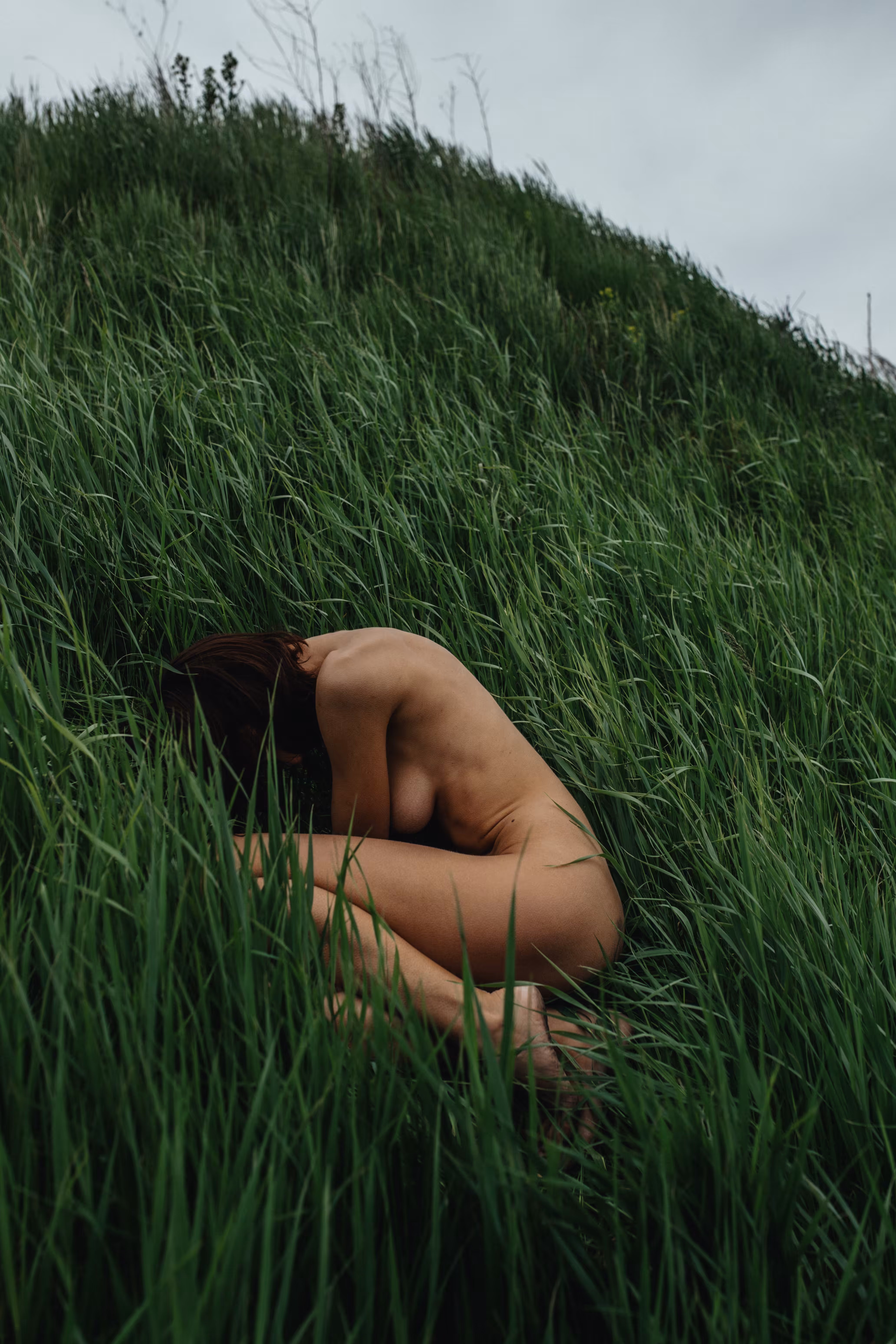 Blowing in the Wind