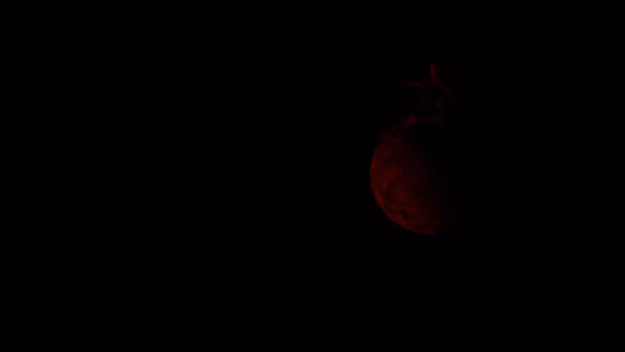 Bloodmoon