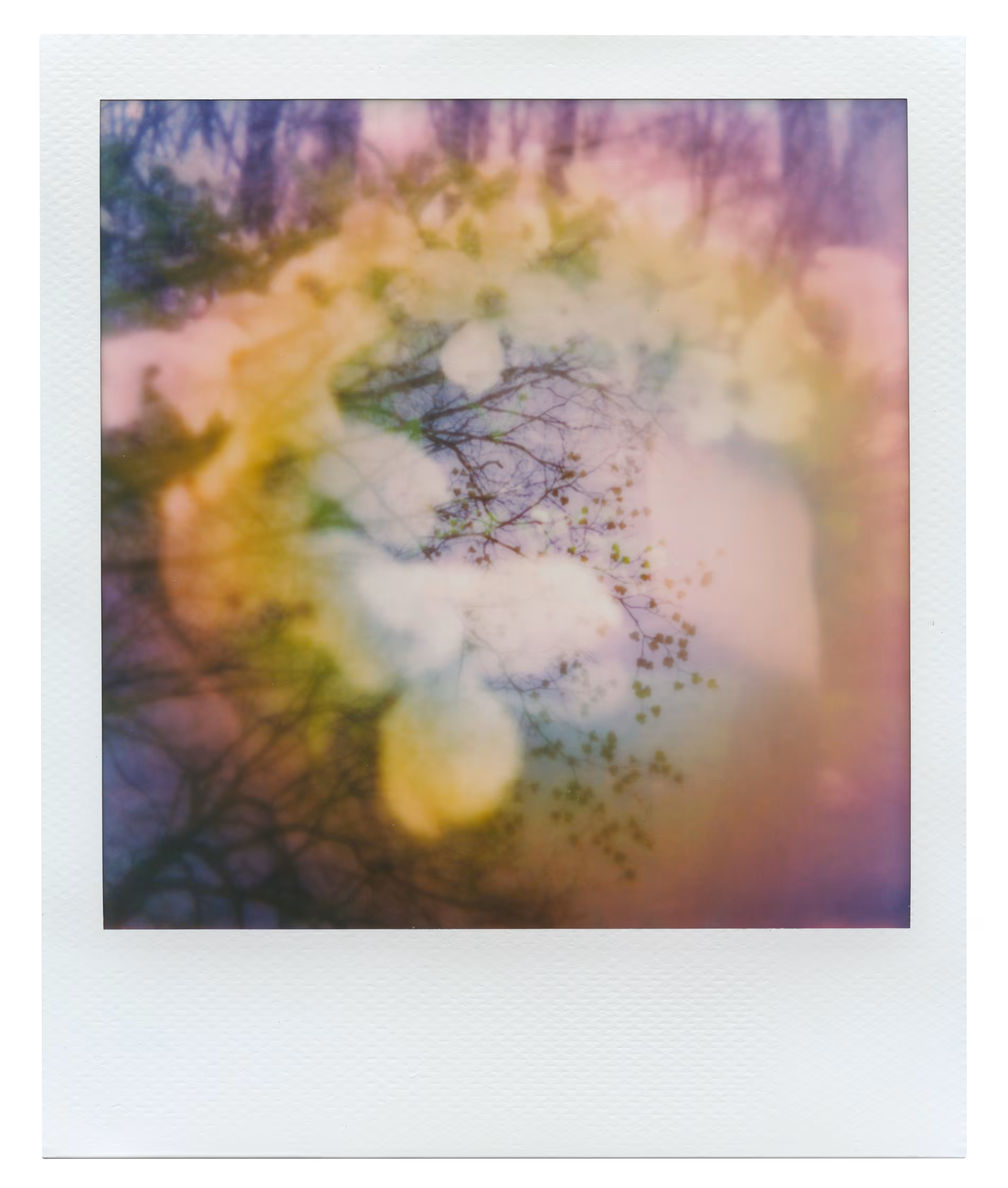 Manifestation