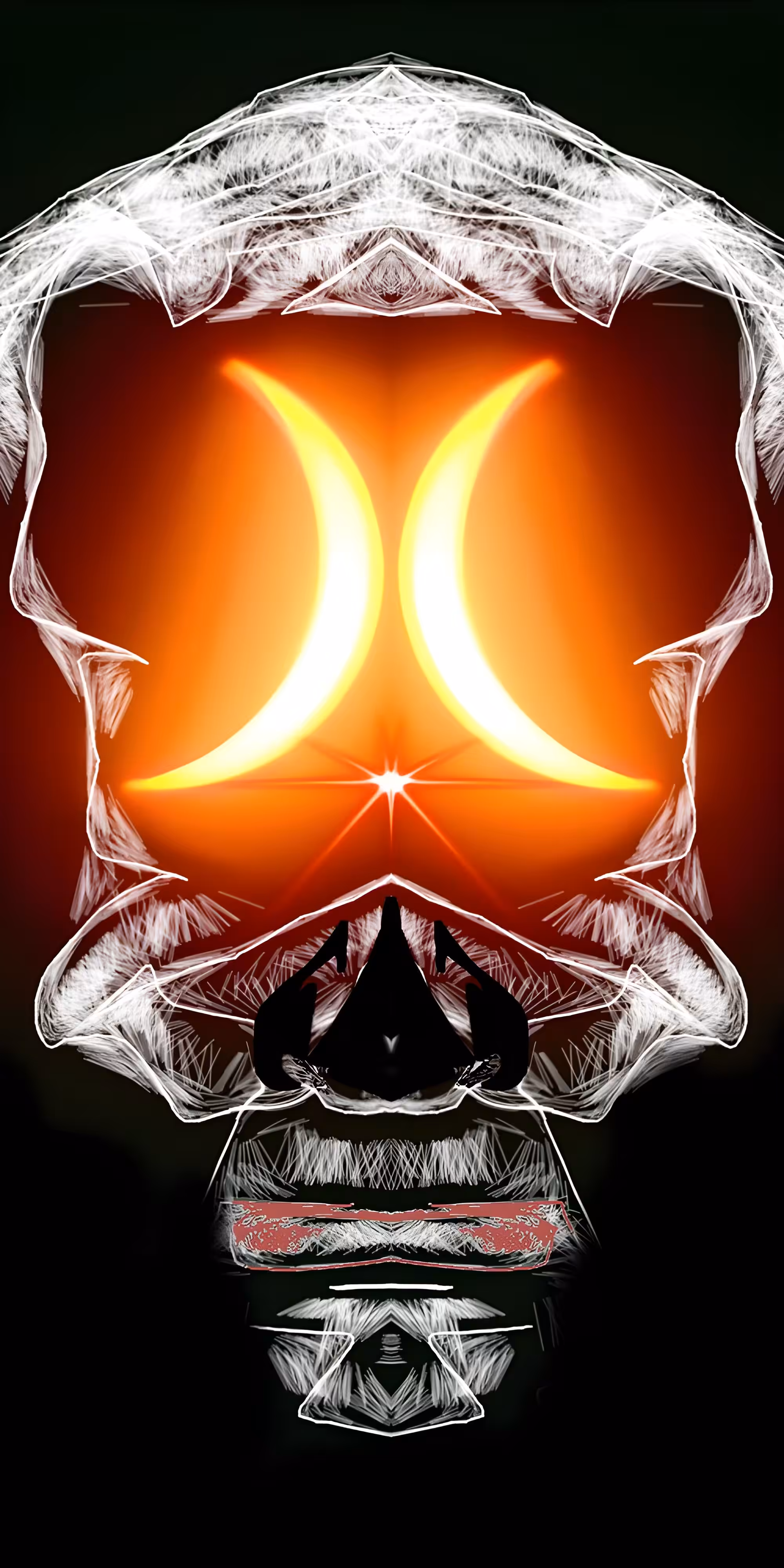 Druidz Vision