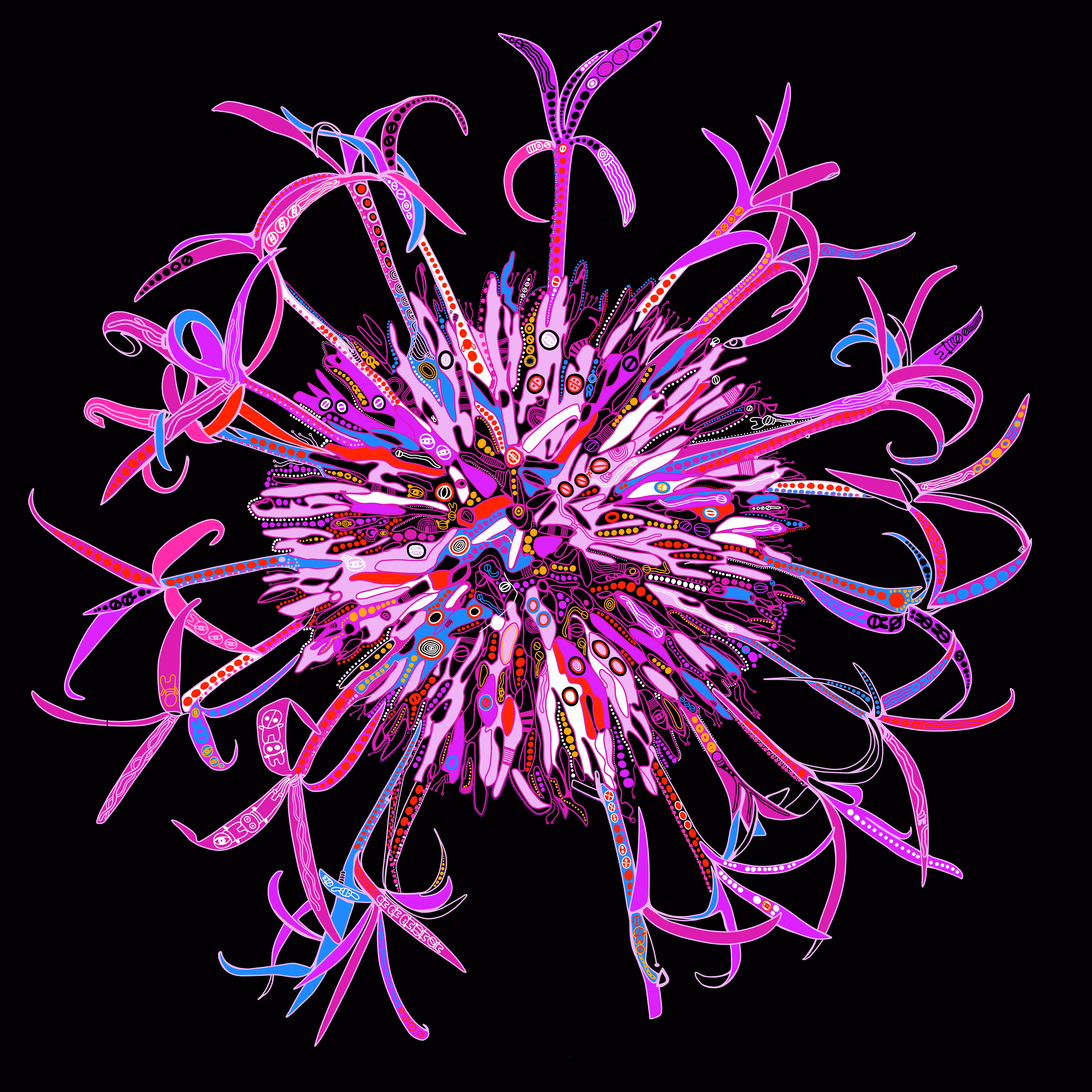 FLOWER FIREWORK