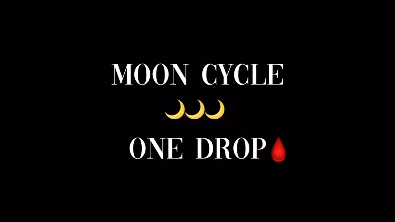 Moon Cycle