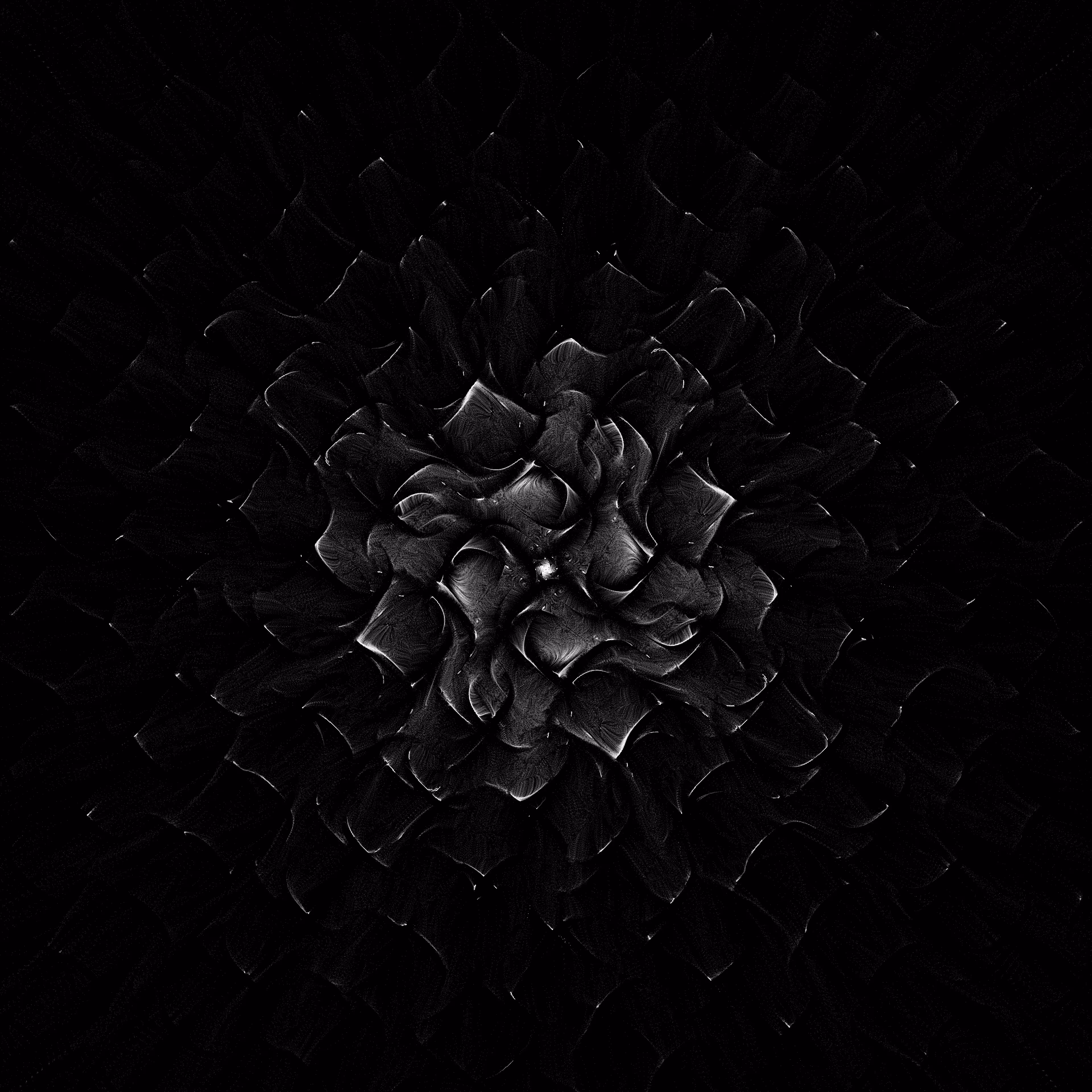 Black Peony