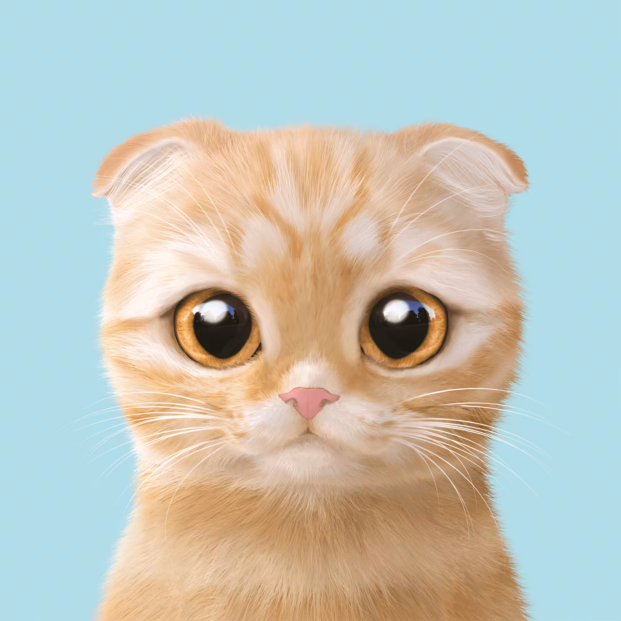 Sugar Cat & Candy Doggie: #273 Cheddar