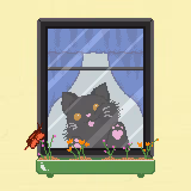 Window Catz #6