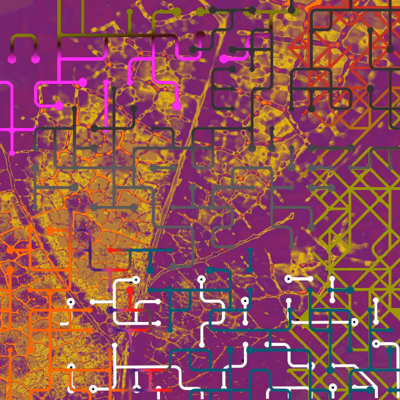 CHAOS #12