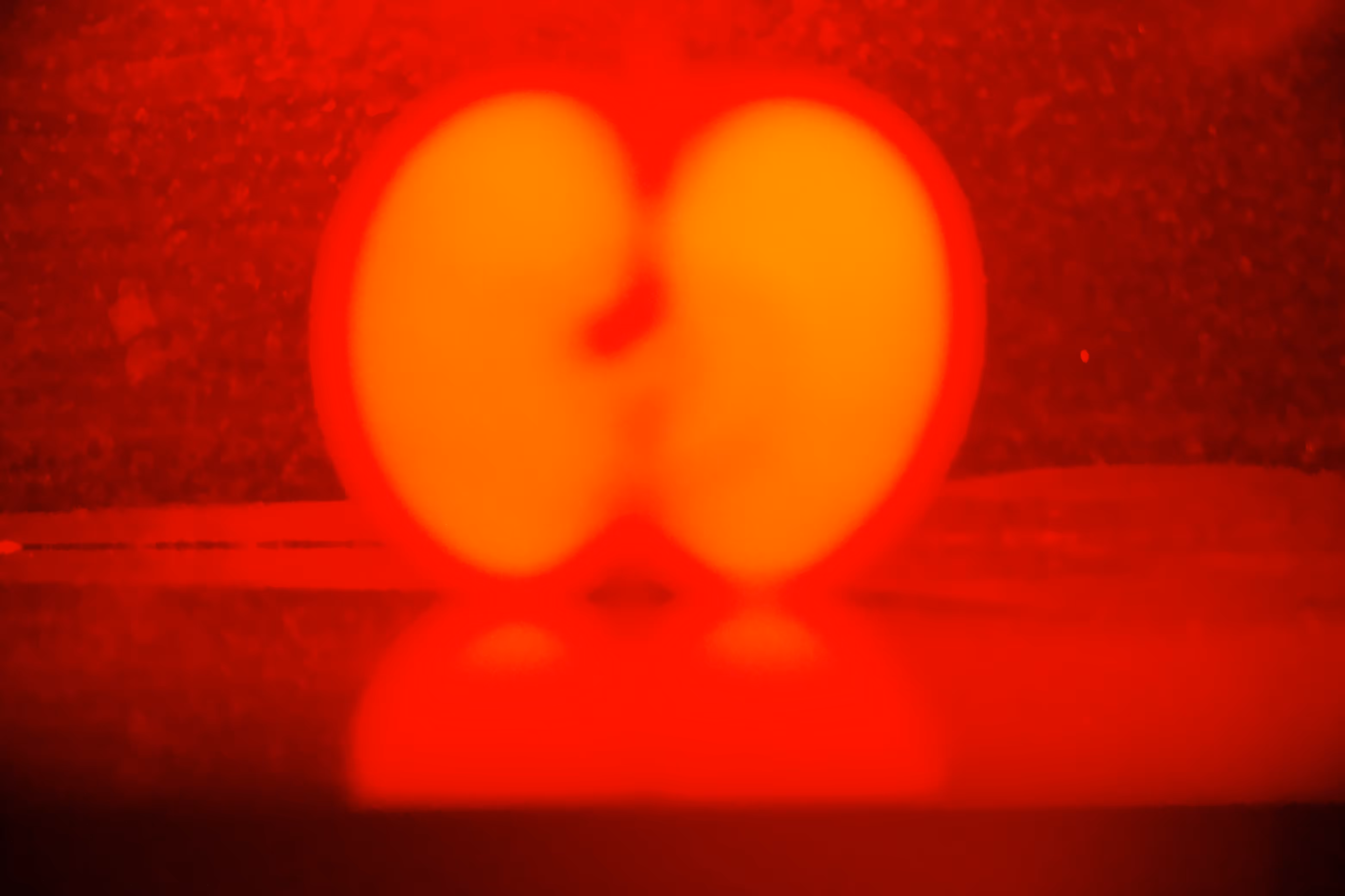 Photographer's DNA - #50*