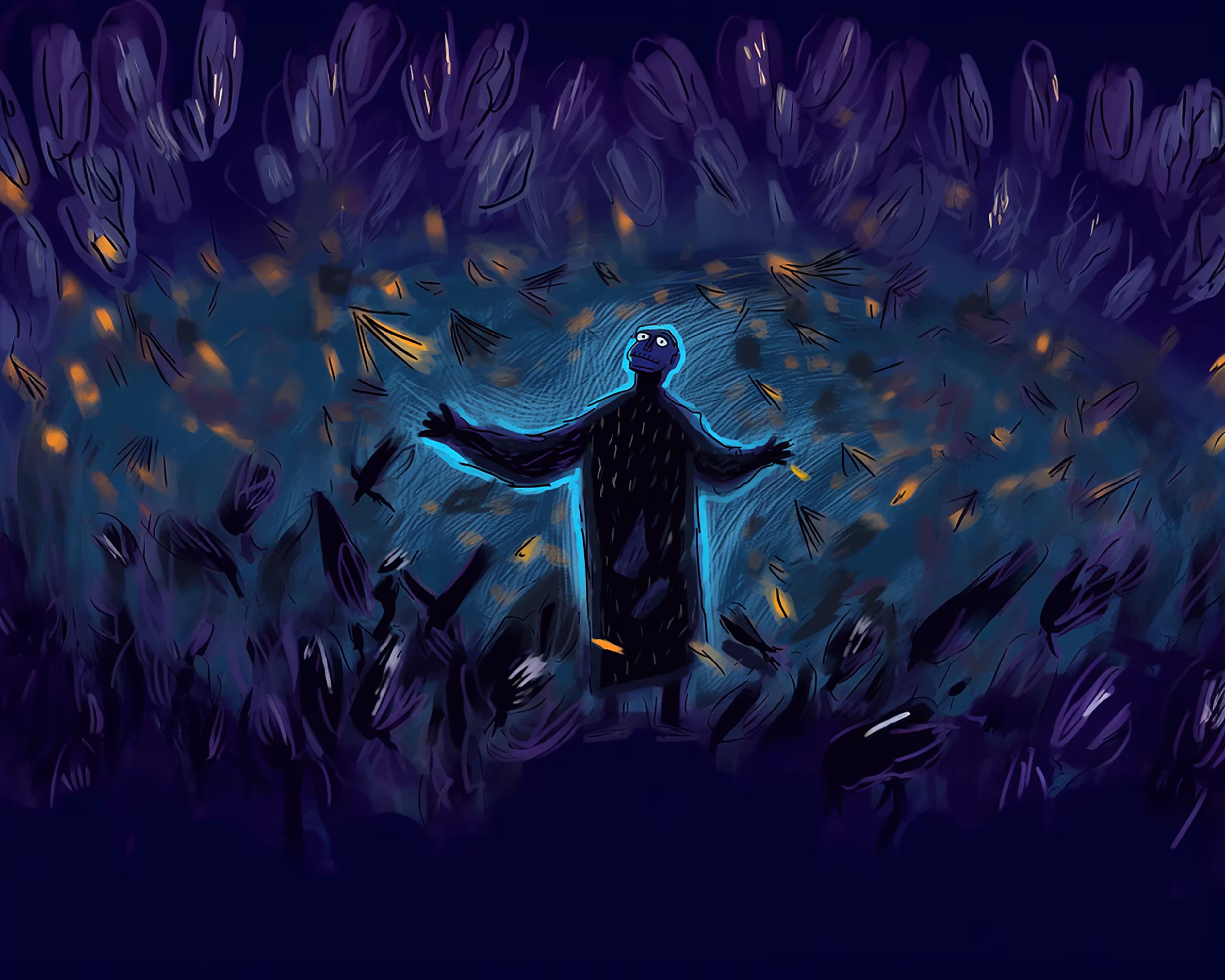 Nocturnal Mystery