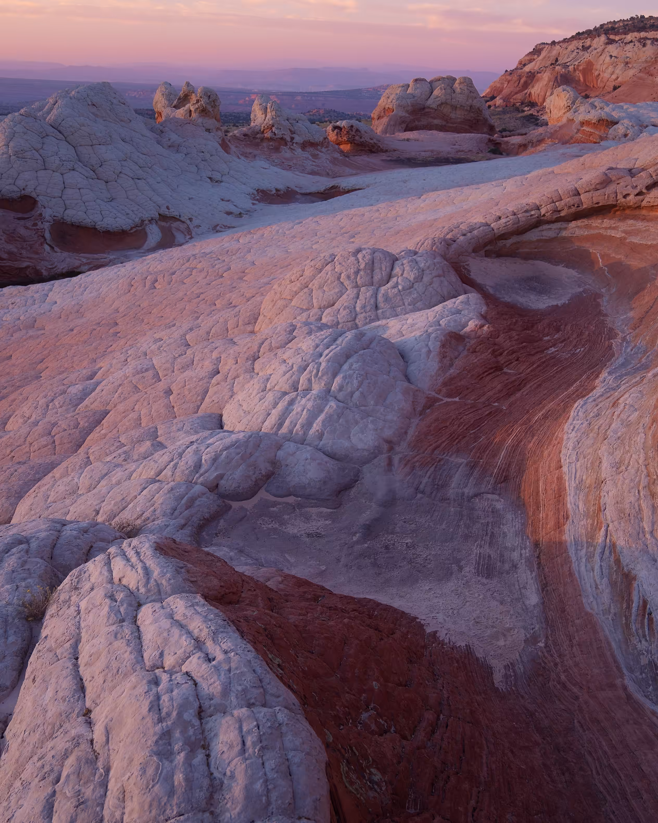 ELEMENTAL VORTEX 001 //