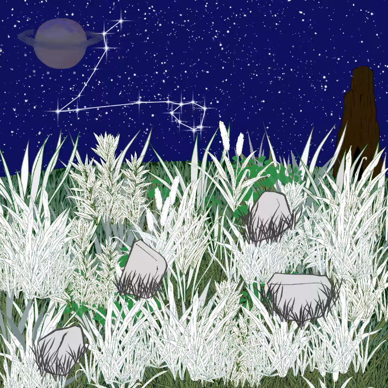 Zodiac #40