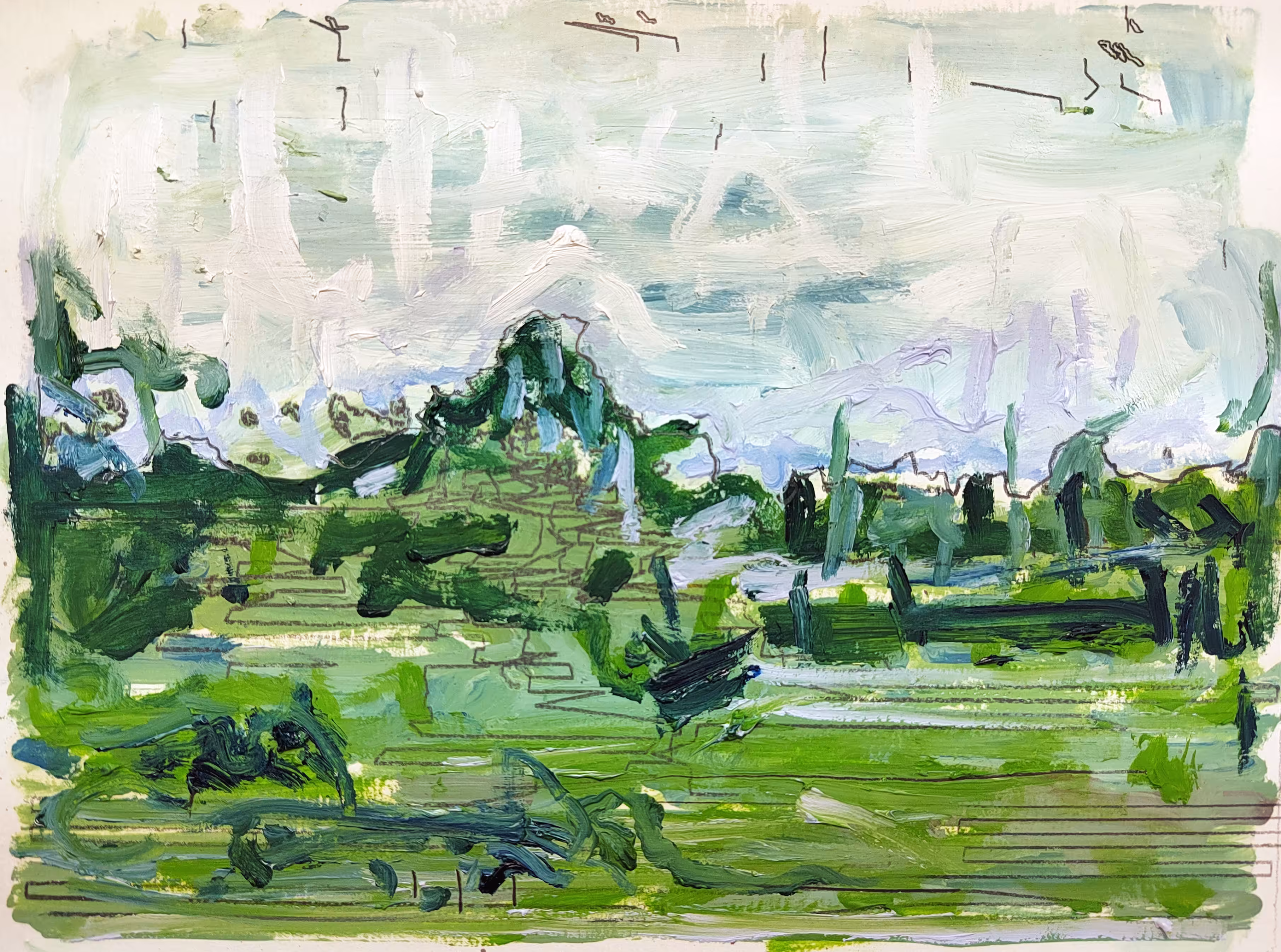 A view of mountains and trees with birds