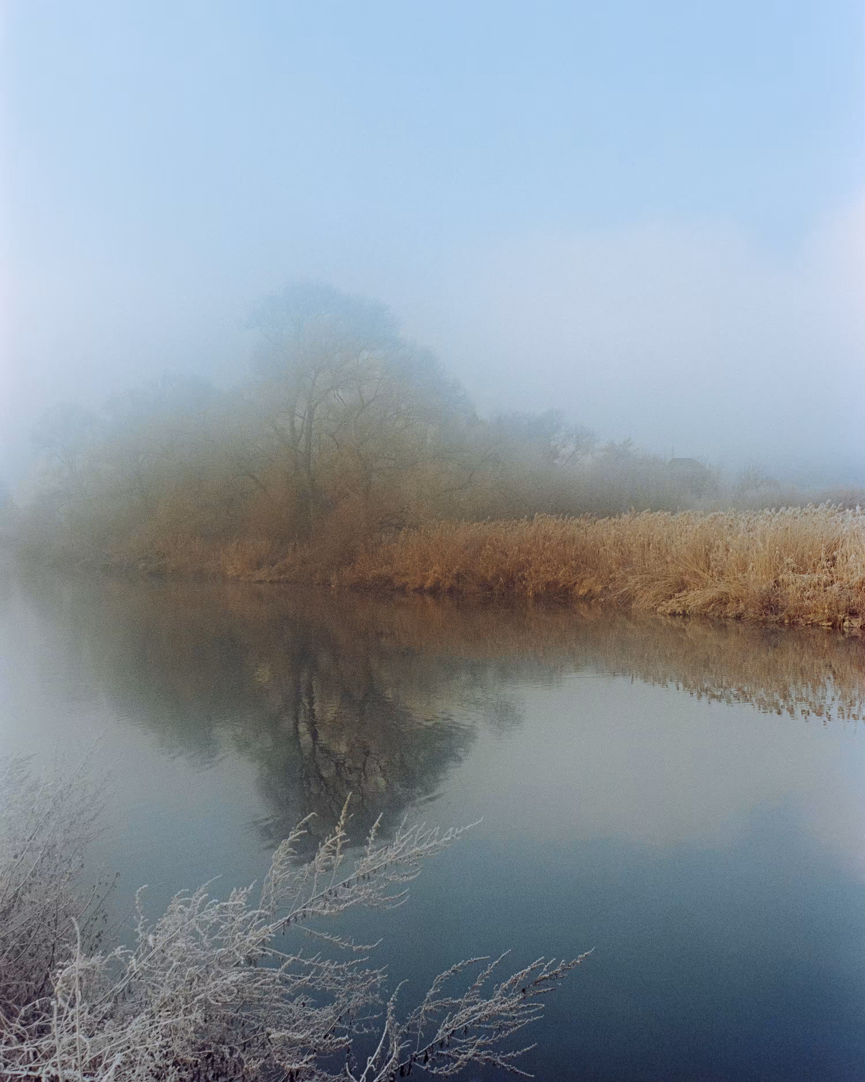 Tranquility