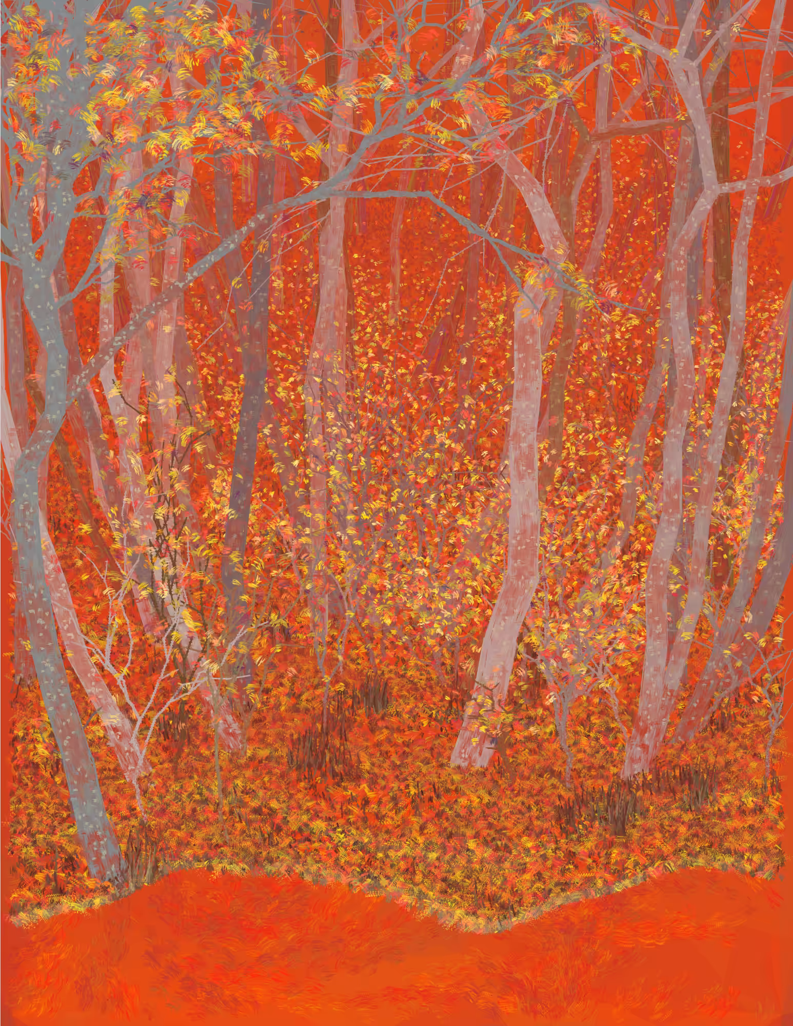Deep Forest #89