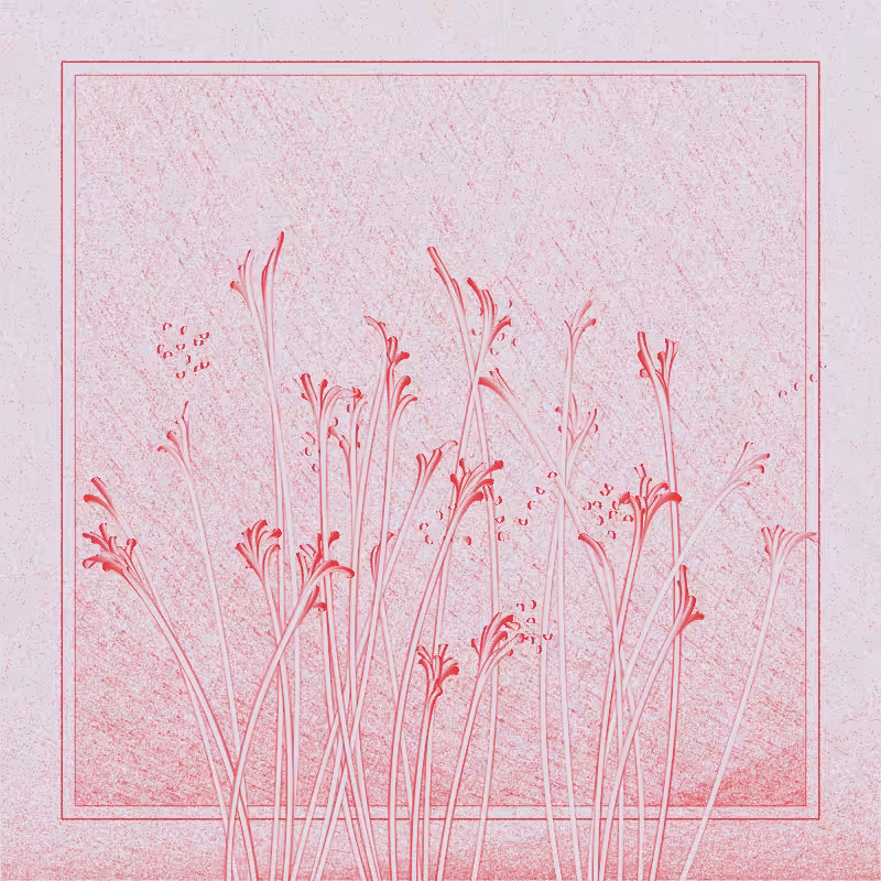 string_pllu #92