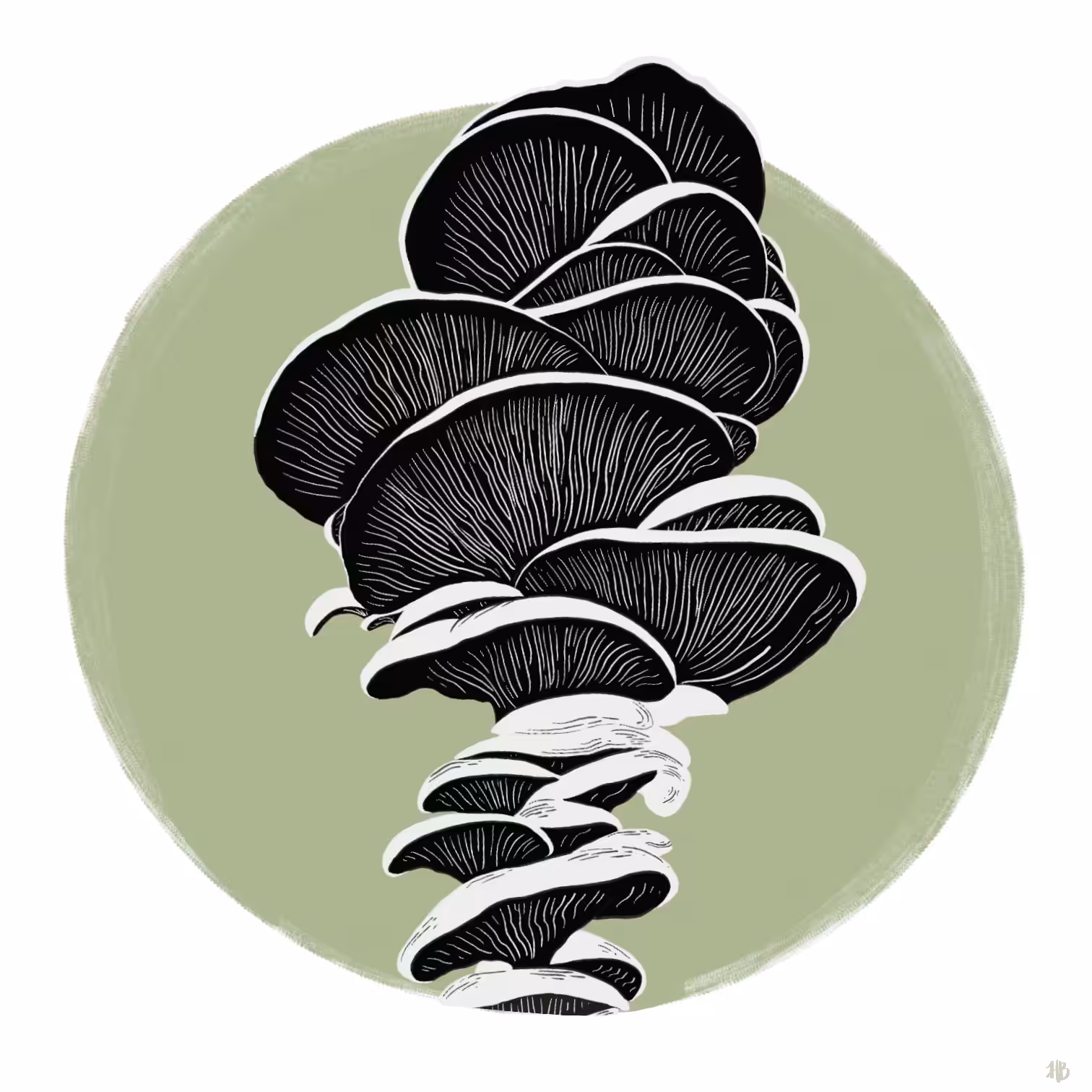 Fundamental Fungi