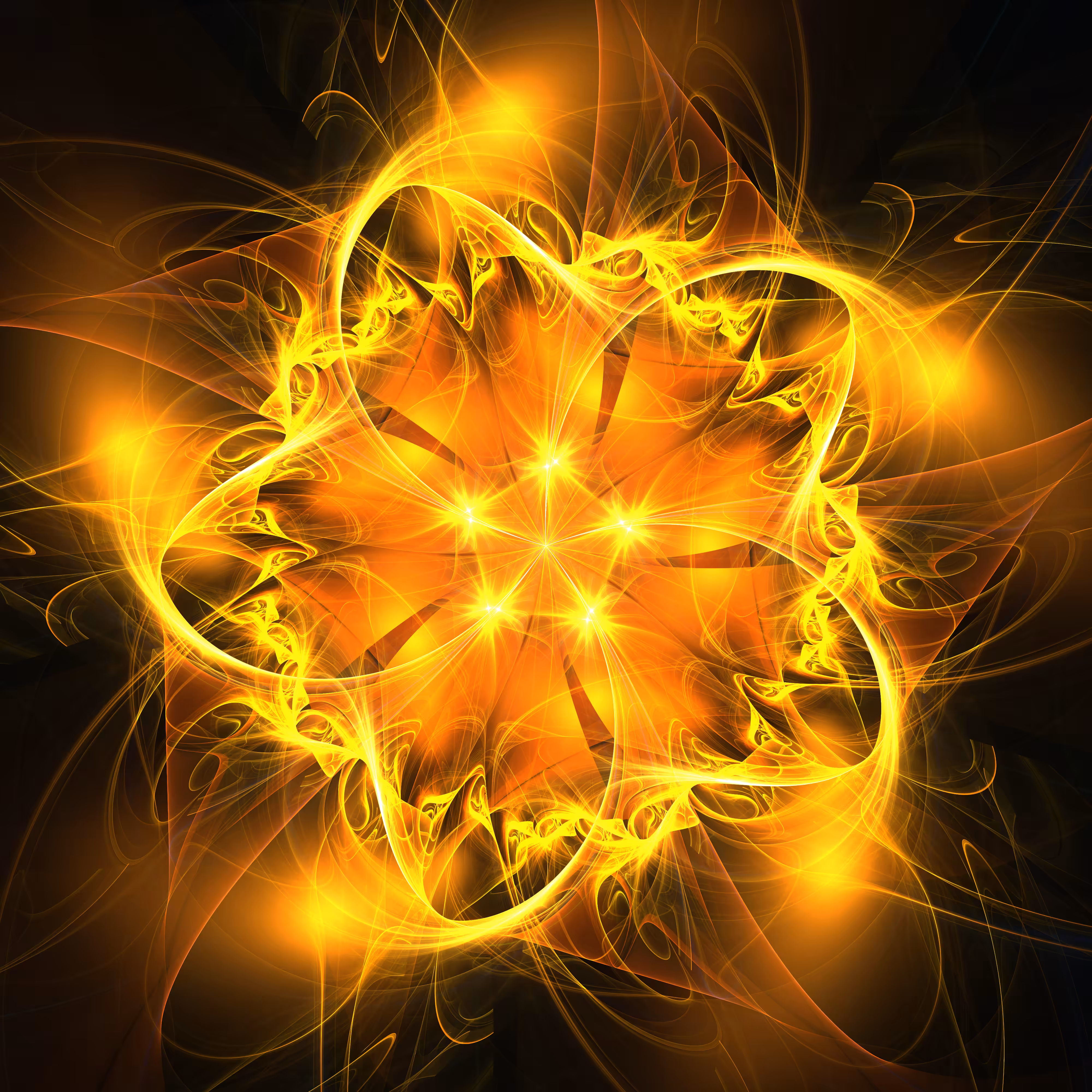 Spring Flower