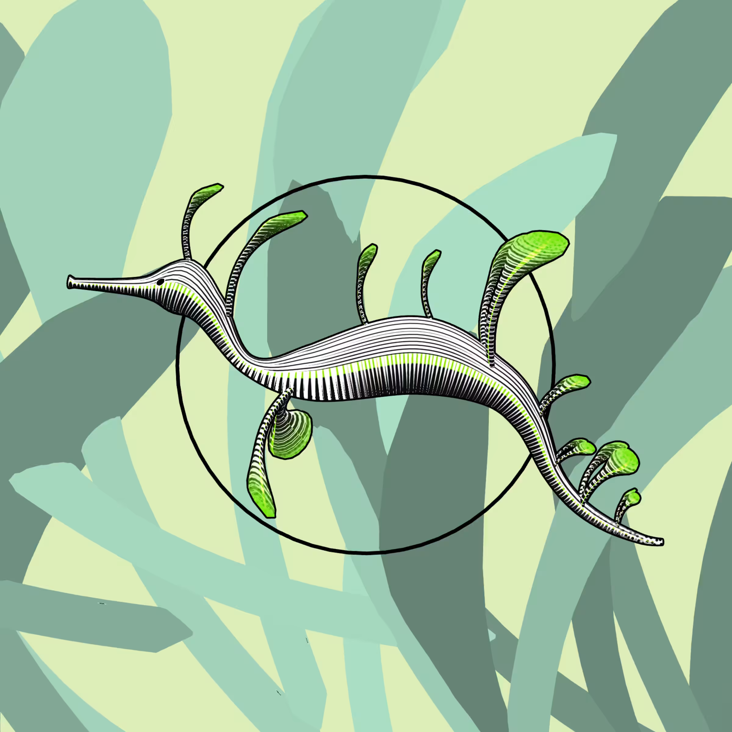 Seadragons #401
