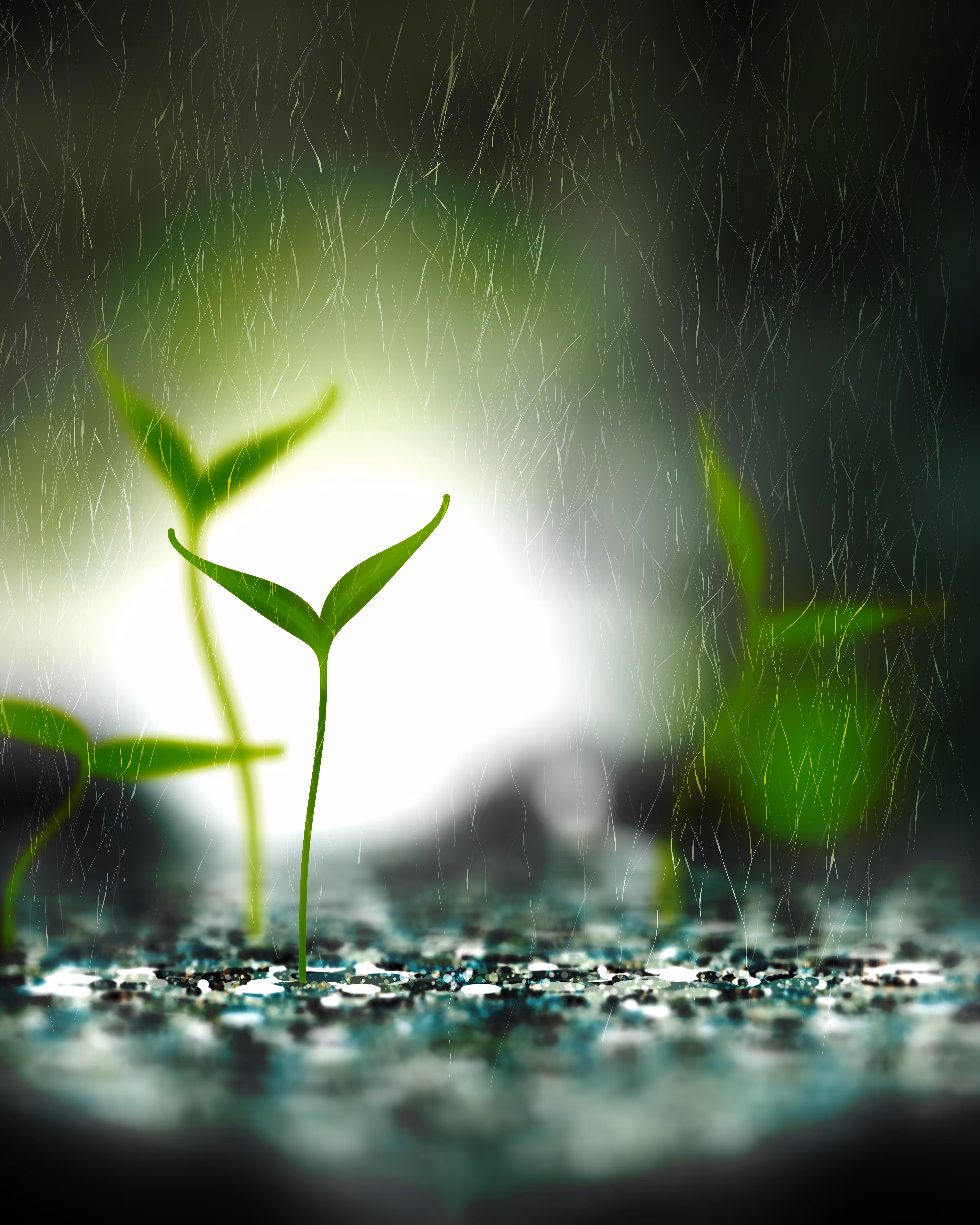 Take Root #6