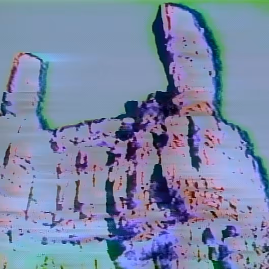 vhs dream 205