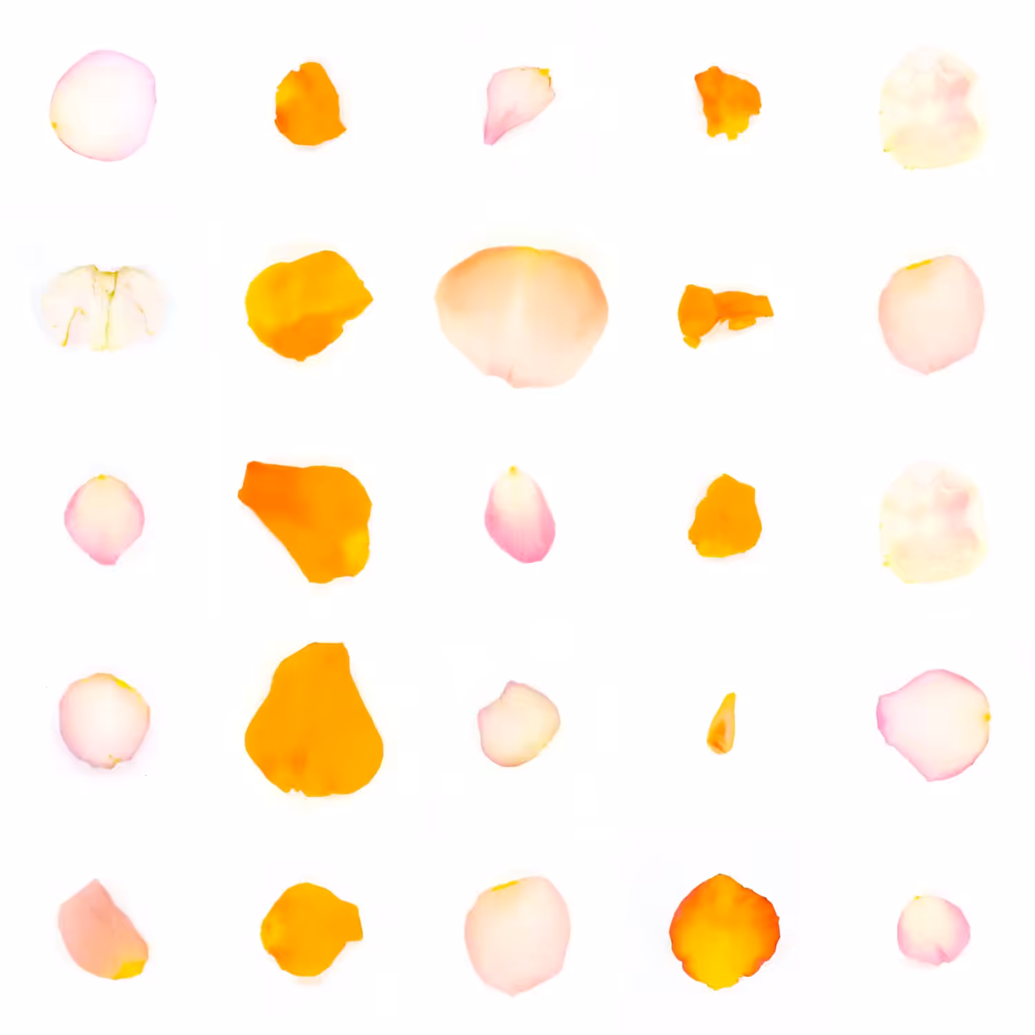Infinite Petals 5x5#20235