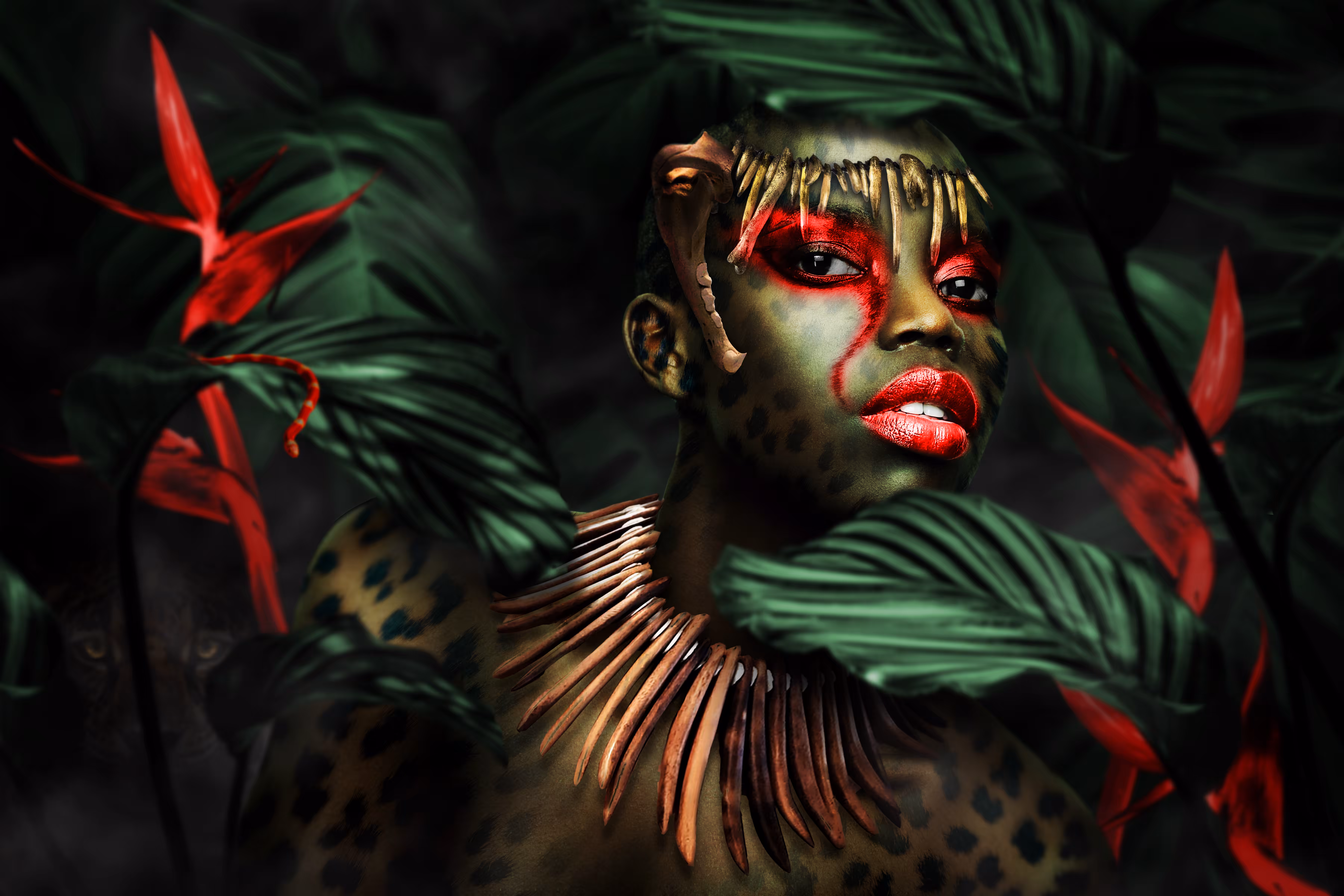 Cheetah