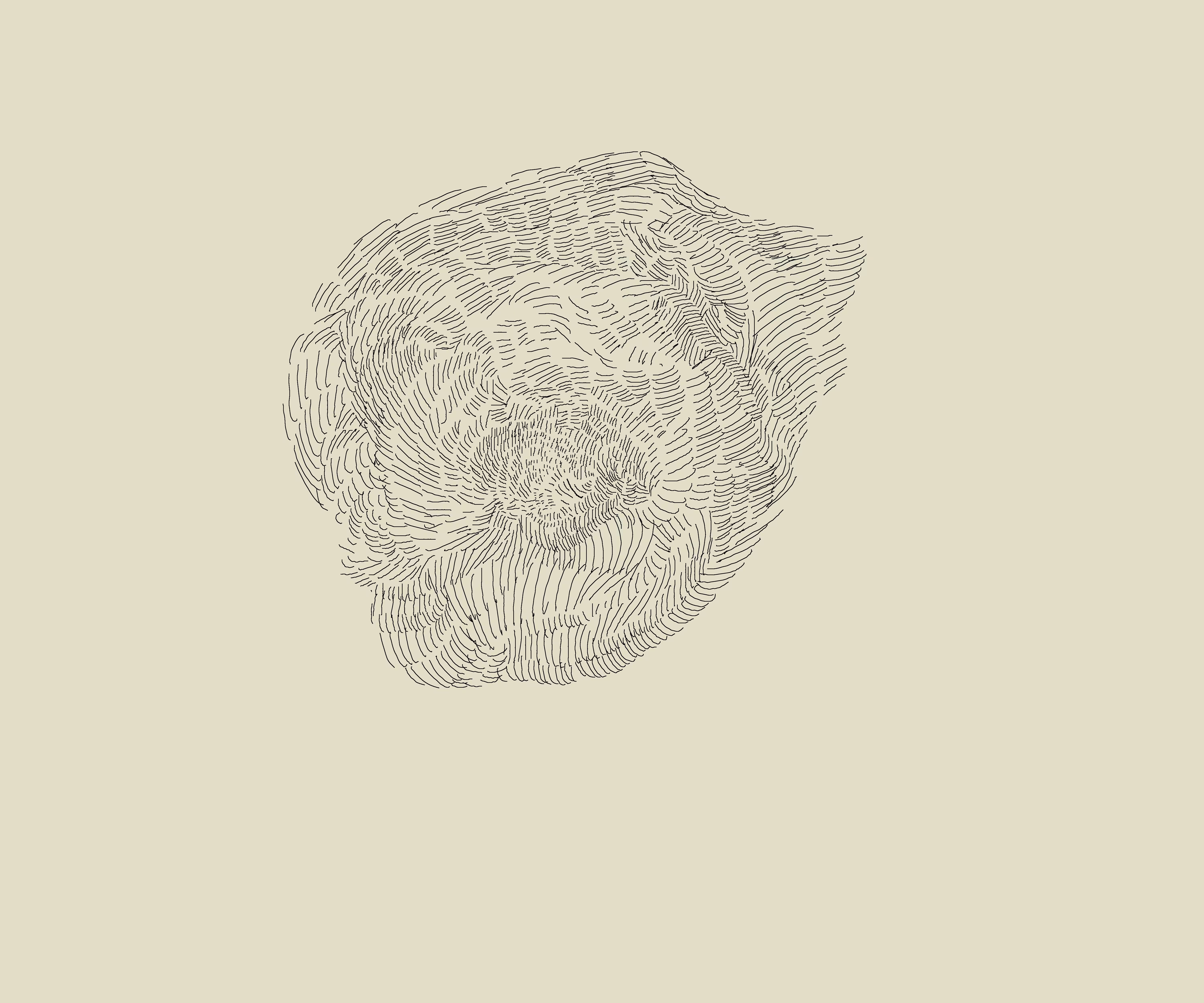 globe 