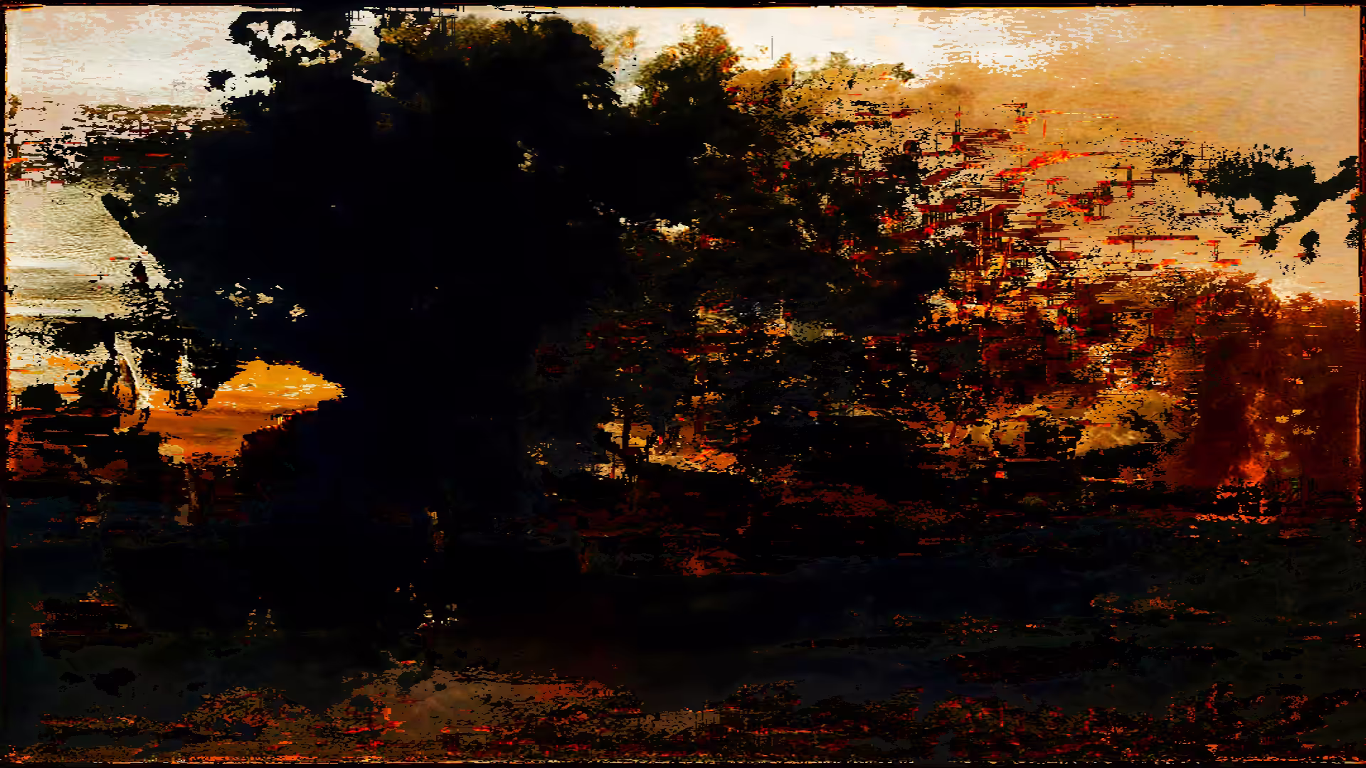 Burning forest II