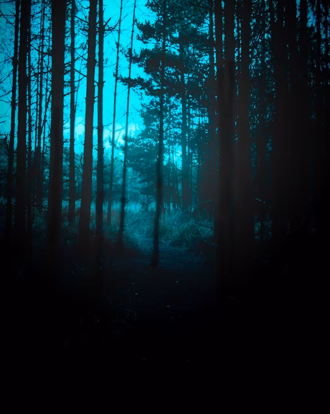 Dark