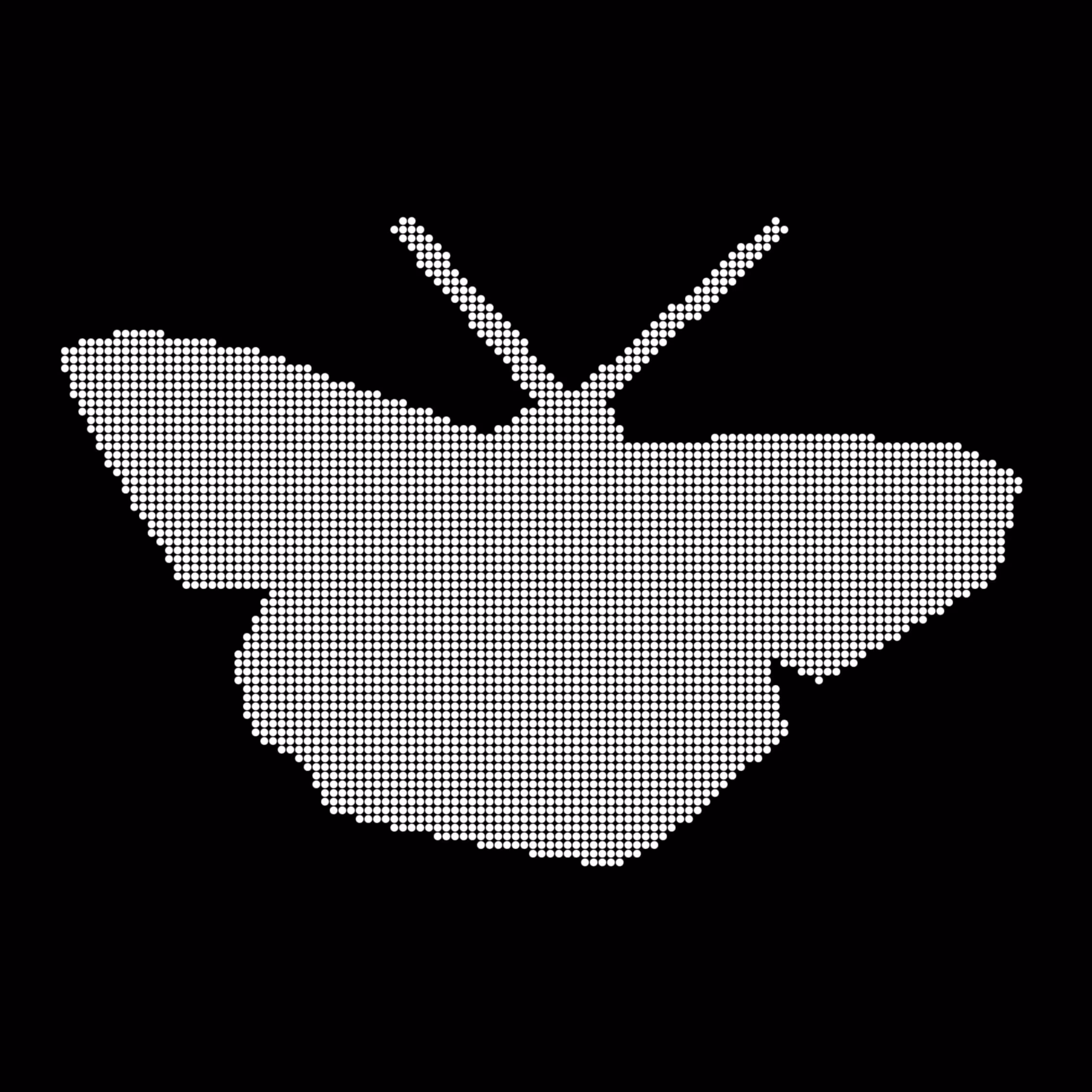 Caltech Studies (Braille): Butterfly 73