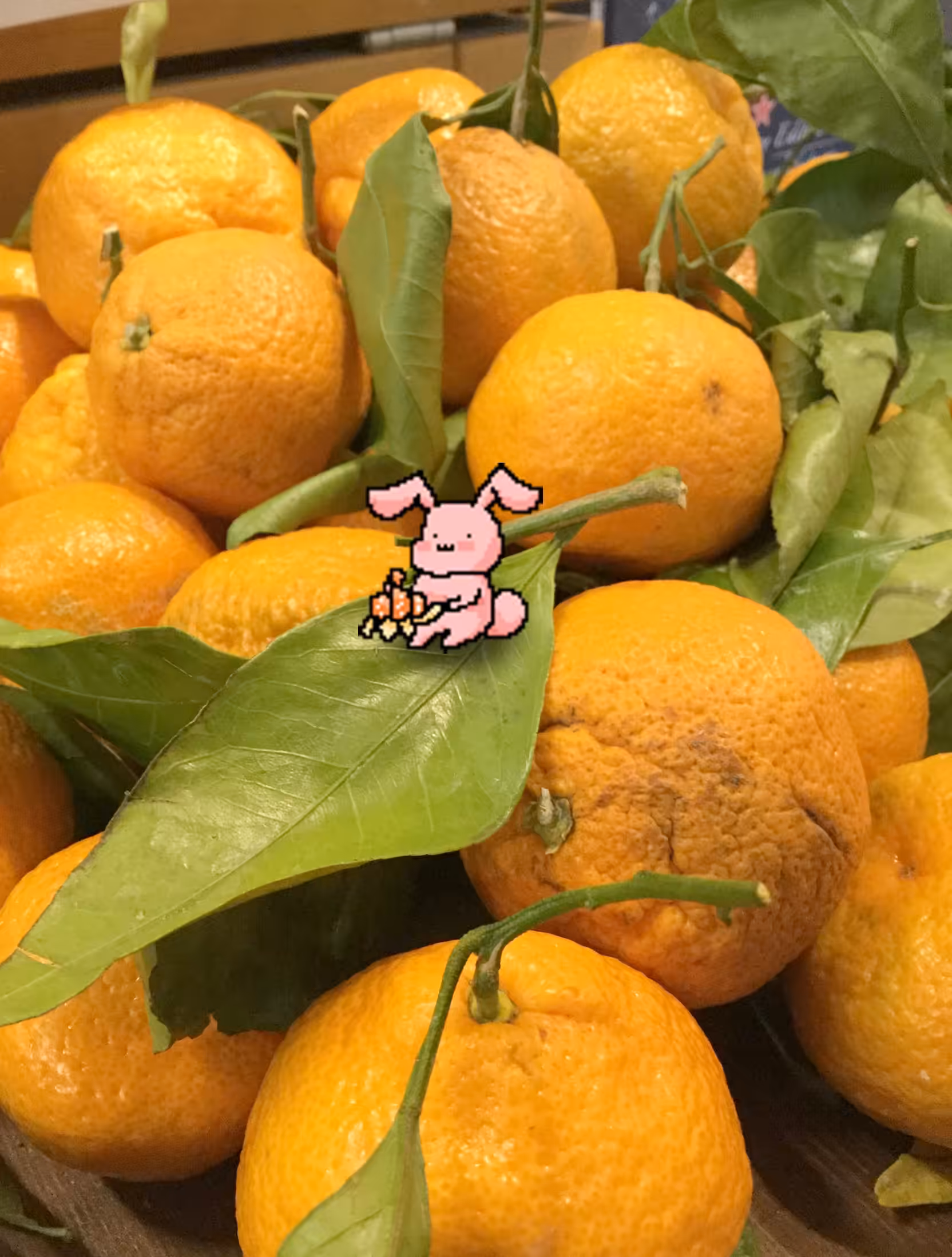 Orange Time