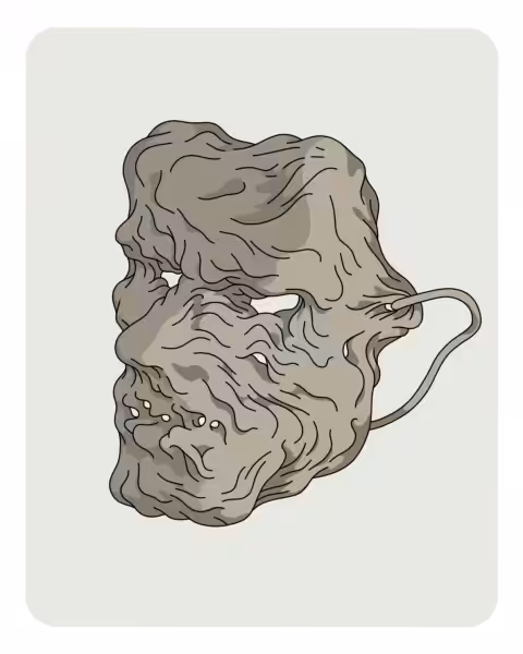 Mask 1