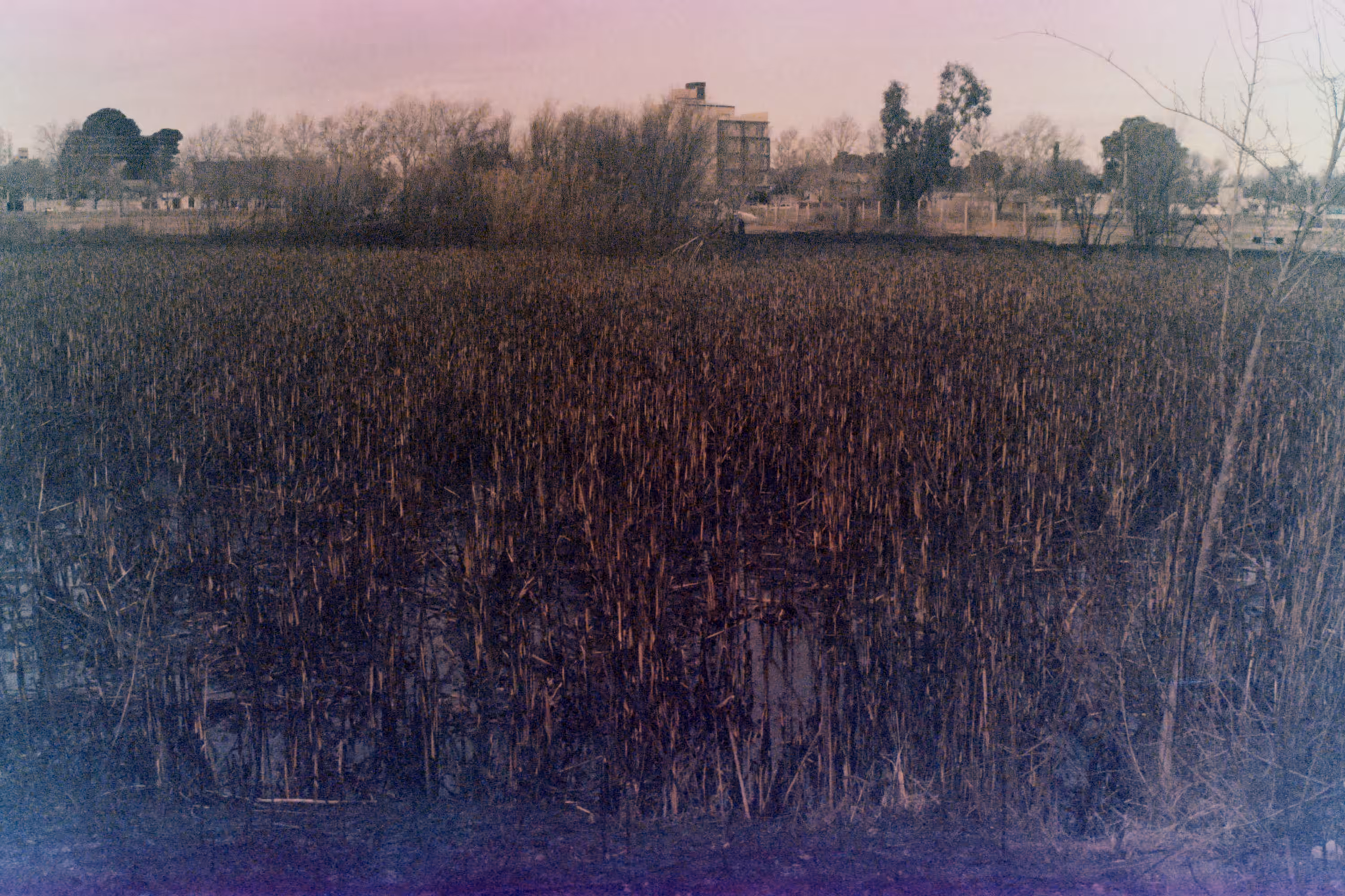 Burned soil
