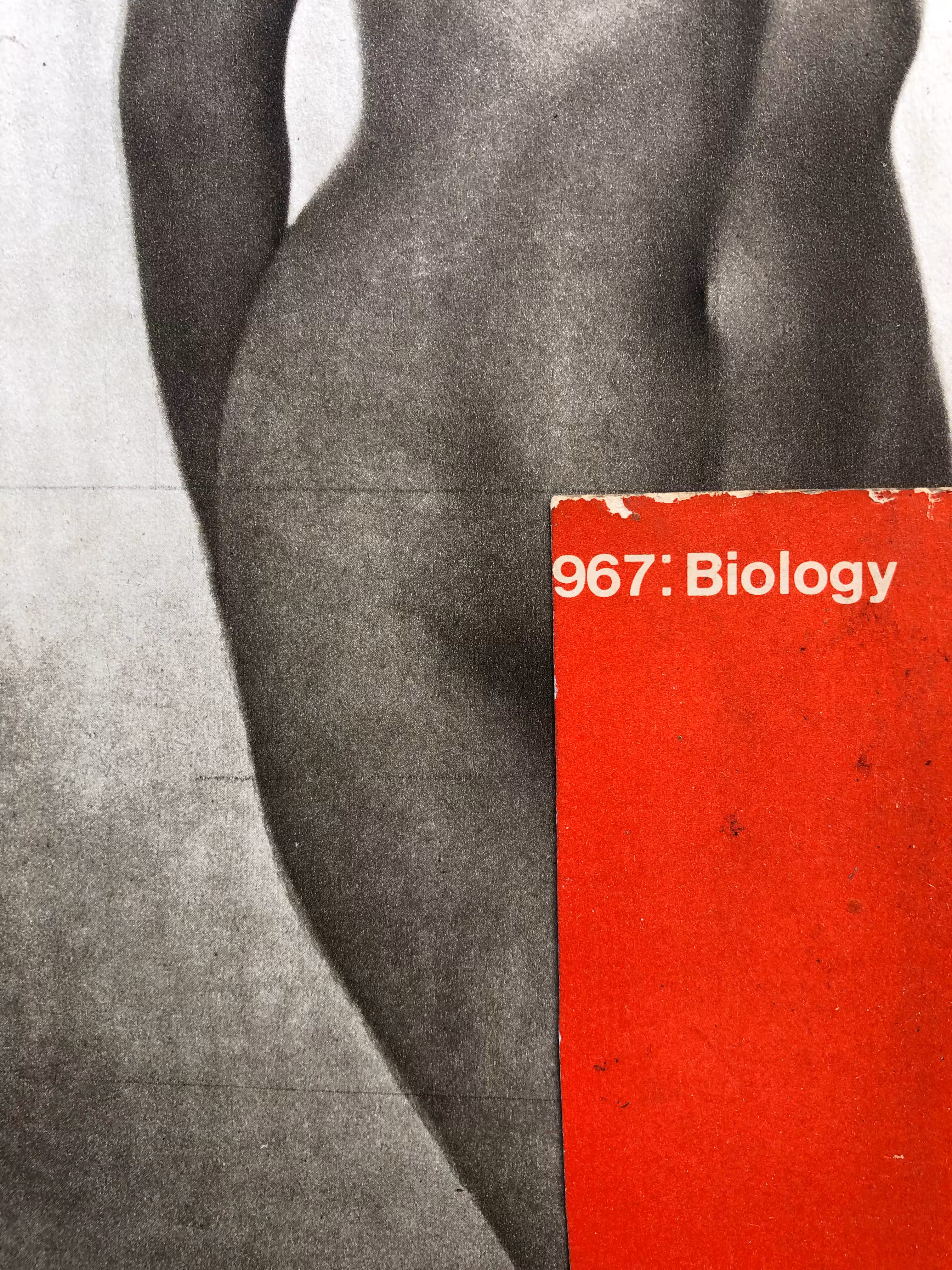Biology.