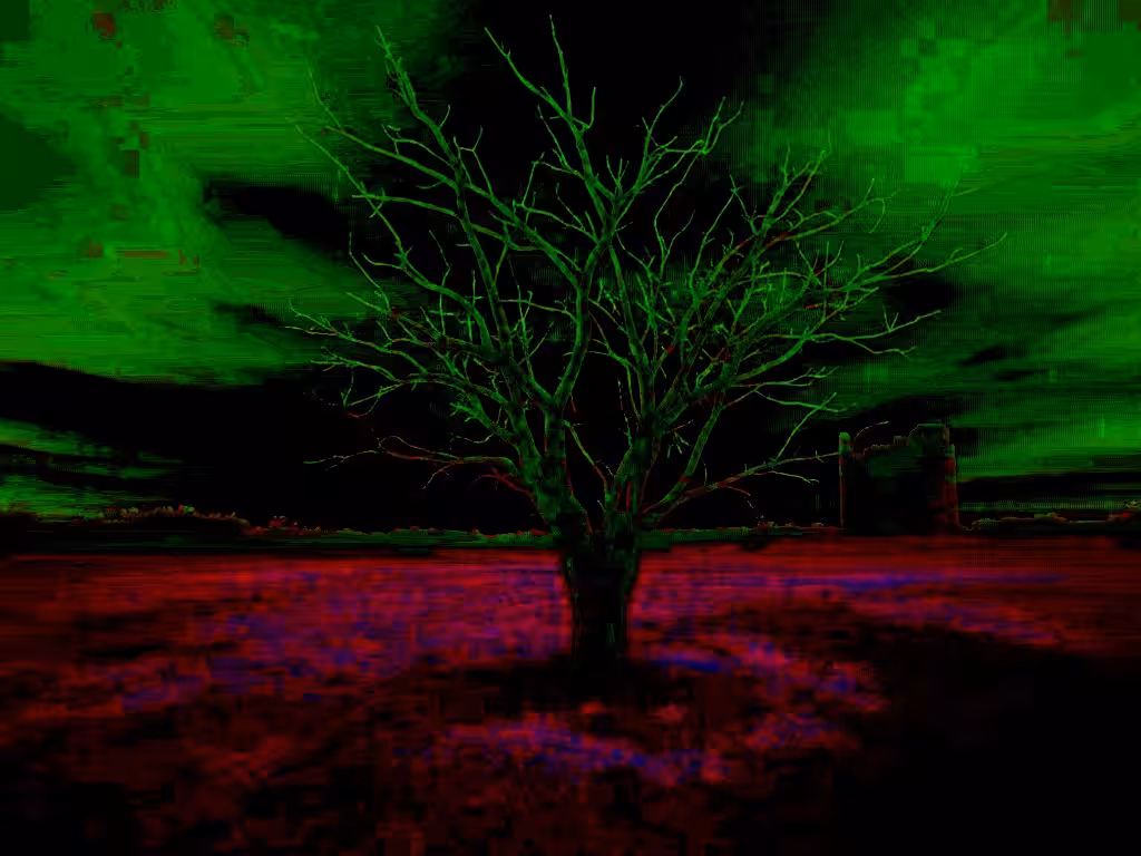 December SOLstice