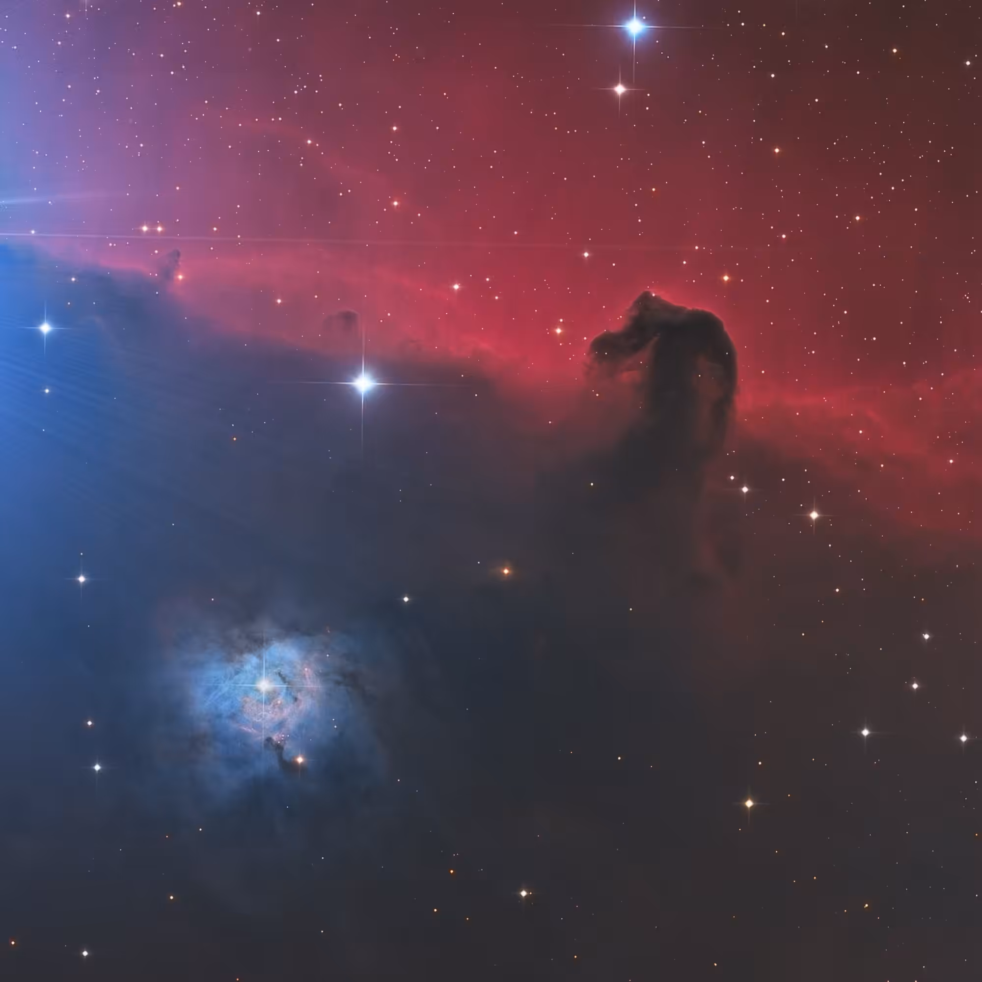 Celestial Equestrian