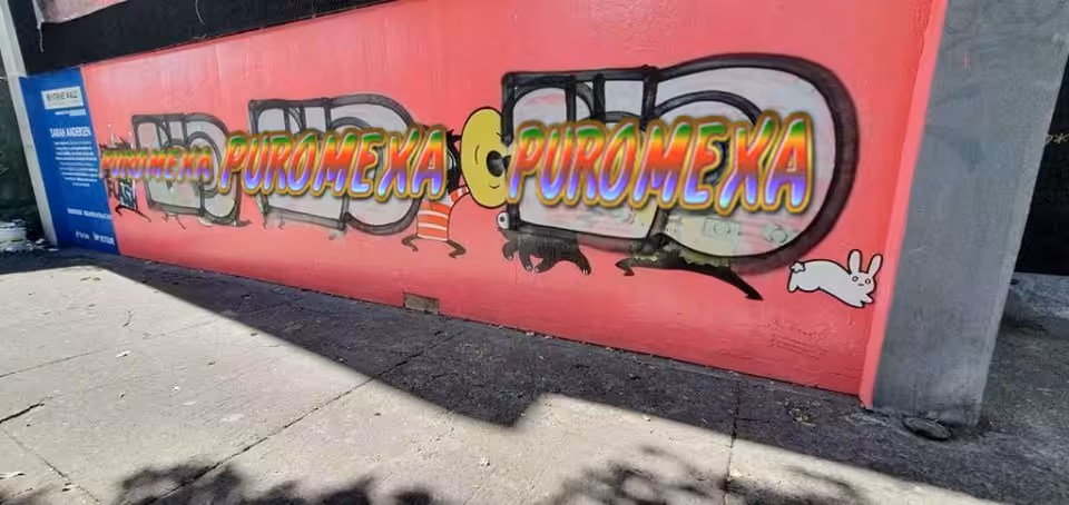 PUROMEXA PROPAGANDA