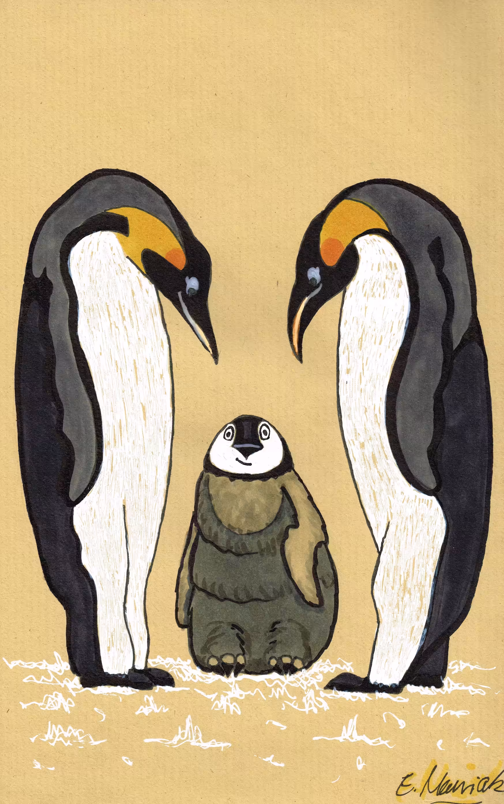 Animal's day-to-day life #29