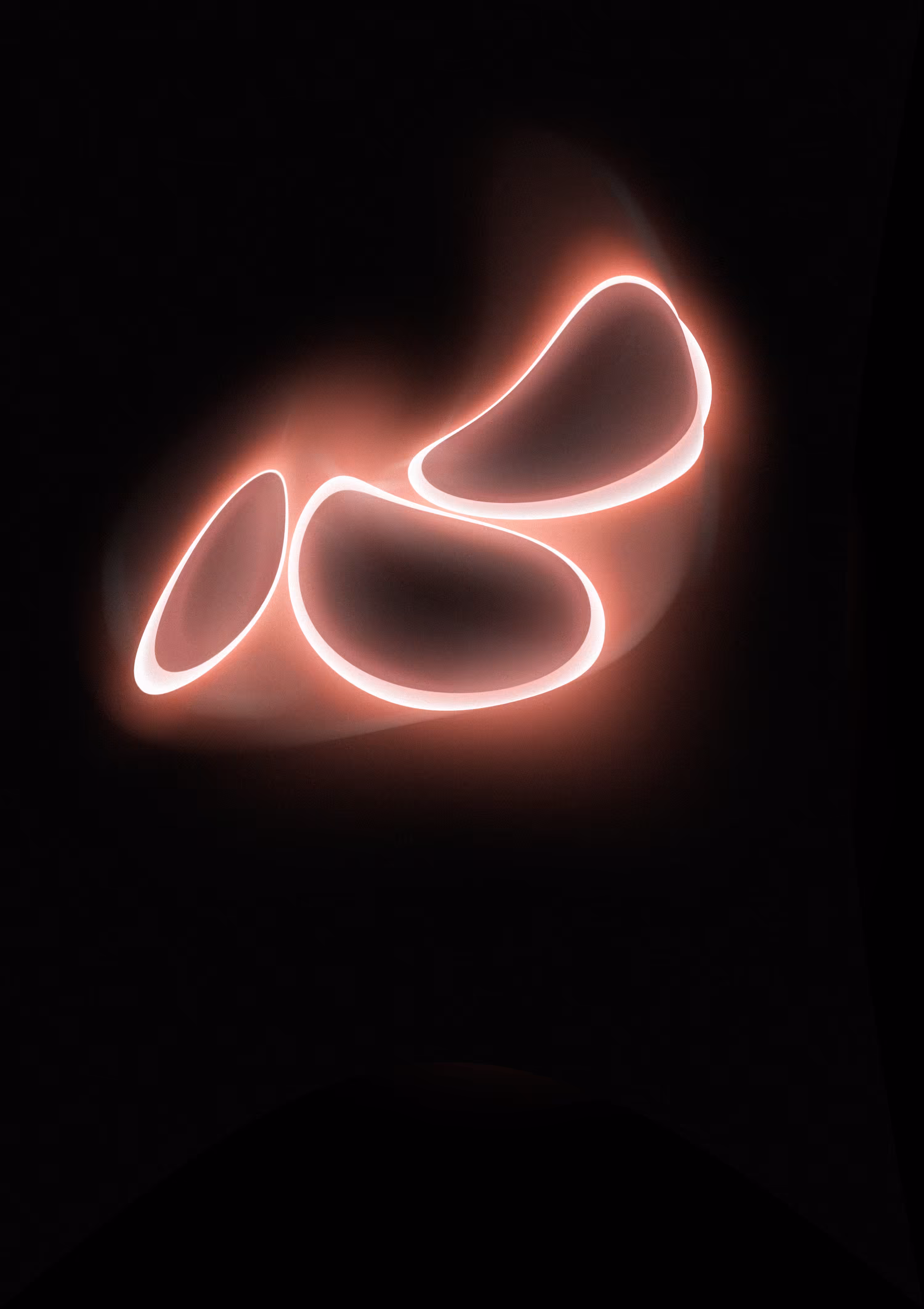Canes Venatici JP2